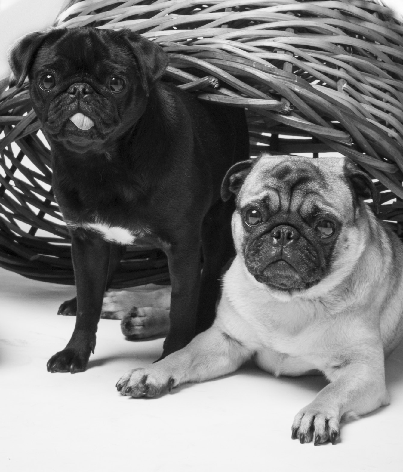 Nikon D3100 sample photo. Rocky & sannel photography