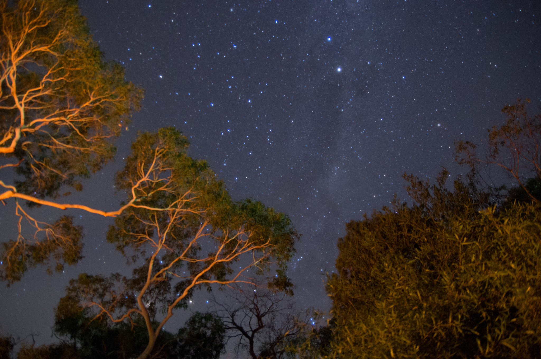 Pentax K-r sample photo. Trees photography