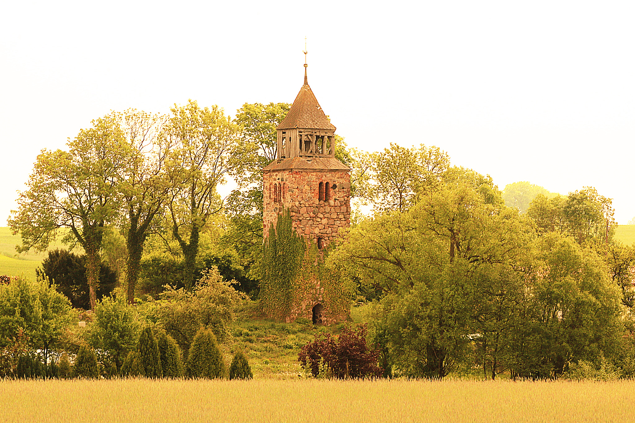 Canon EOS 70D + Canon EF 100mm F2.0 USM sample photo. The old tower photography