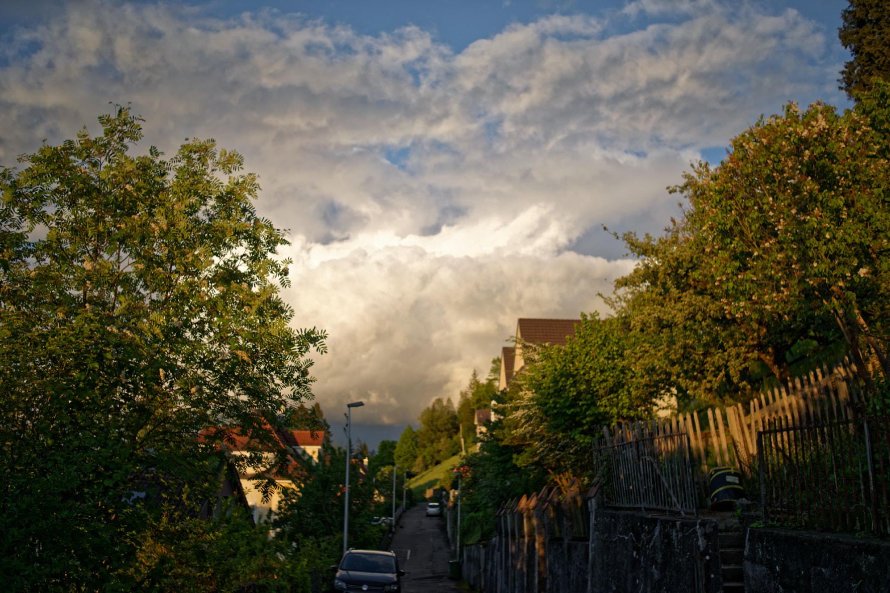 Manual Lens No CPU sample photo. Walking home photography