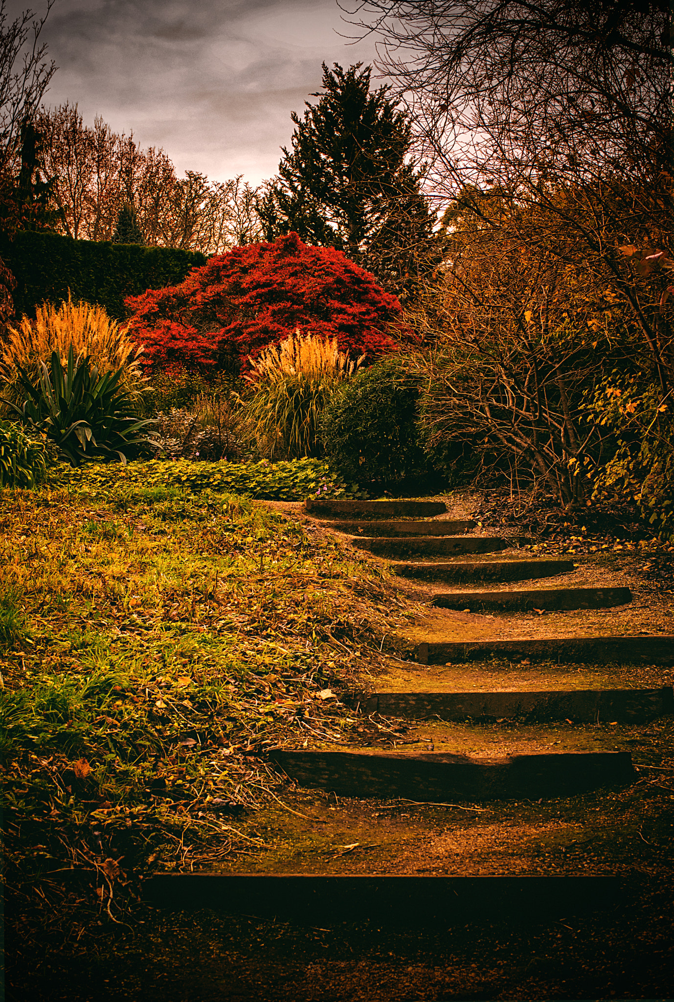 Sony Alpha NEX-7 + E 32mm F1.8 sample photo. Stairs photography