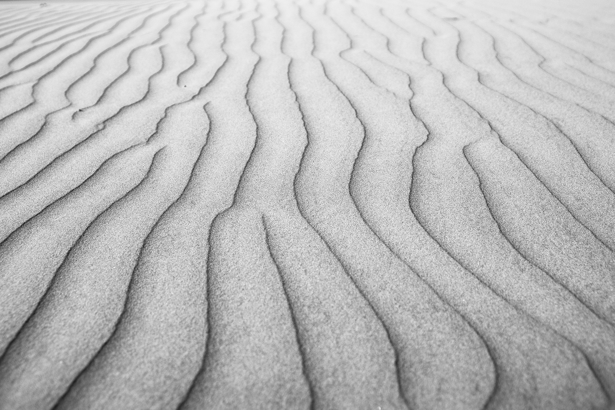 Sony Alpha a99 sample photo. Sand lines photography