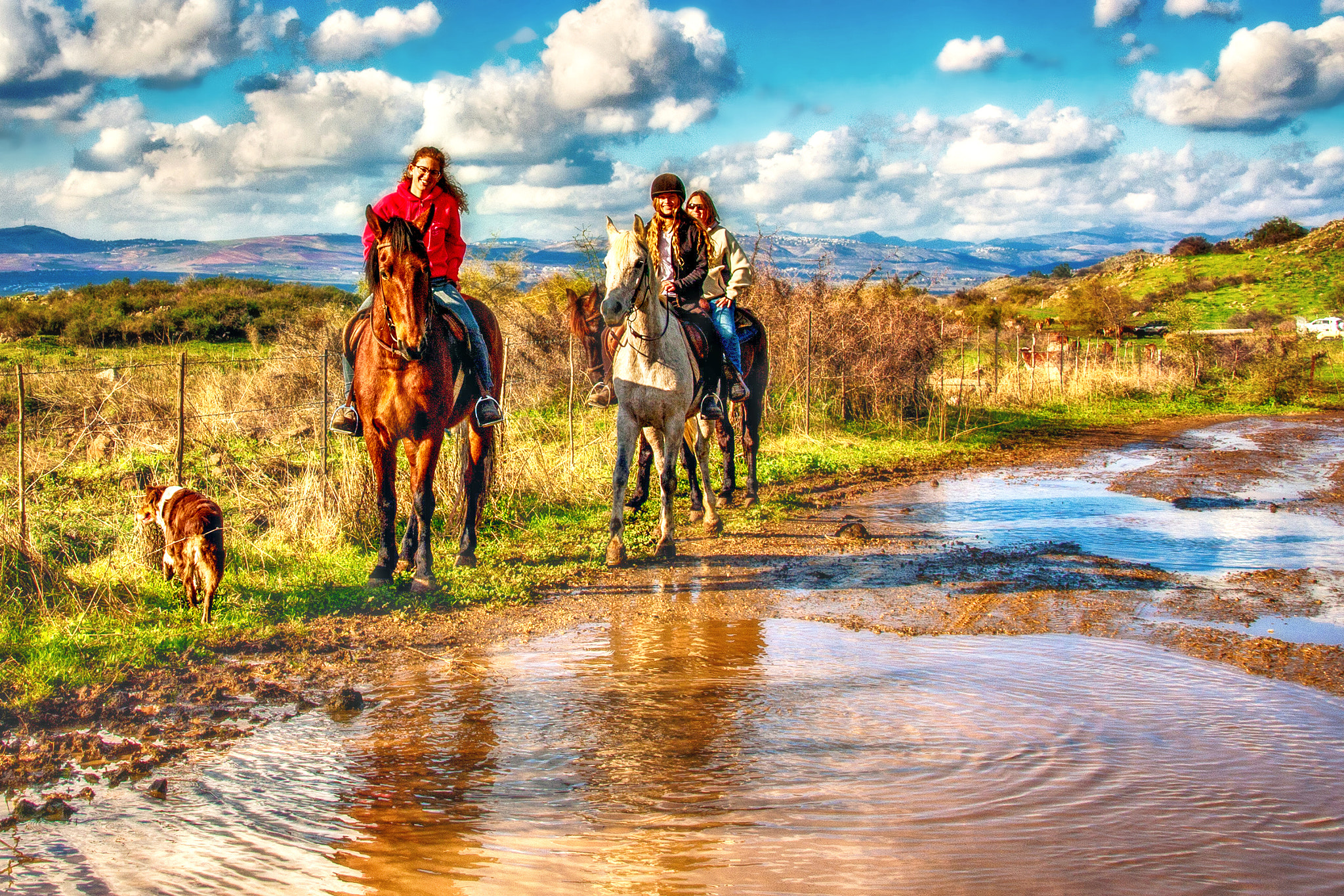 Sigma 18-250mm F3.5-6.3 DC OS HSM sample photo. Fun on the golan photography