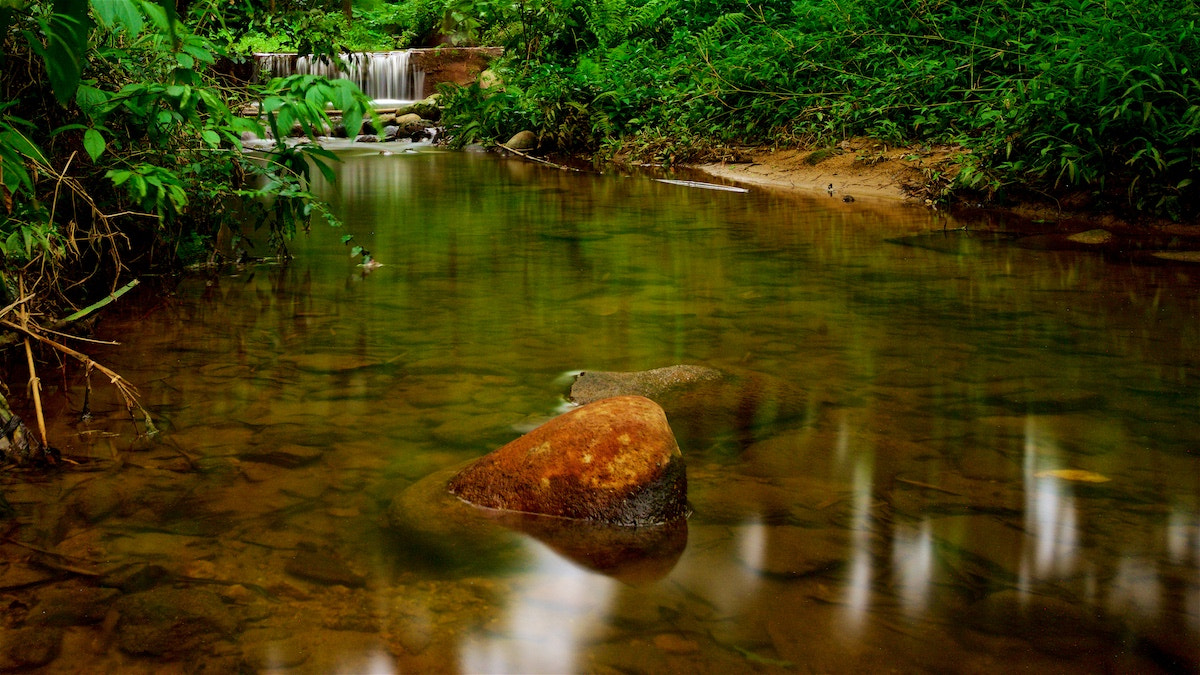 Sony a99 II sample photo. Mountain stream photography