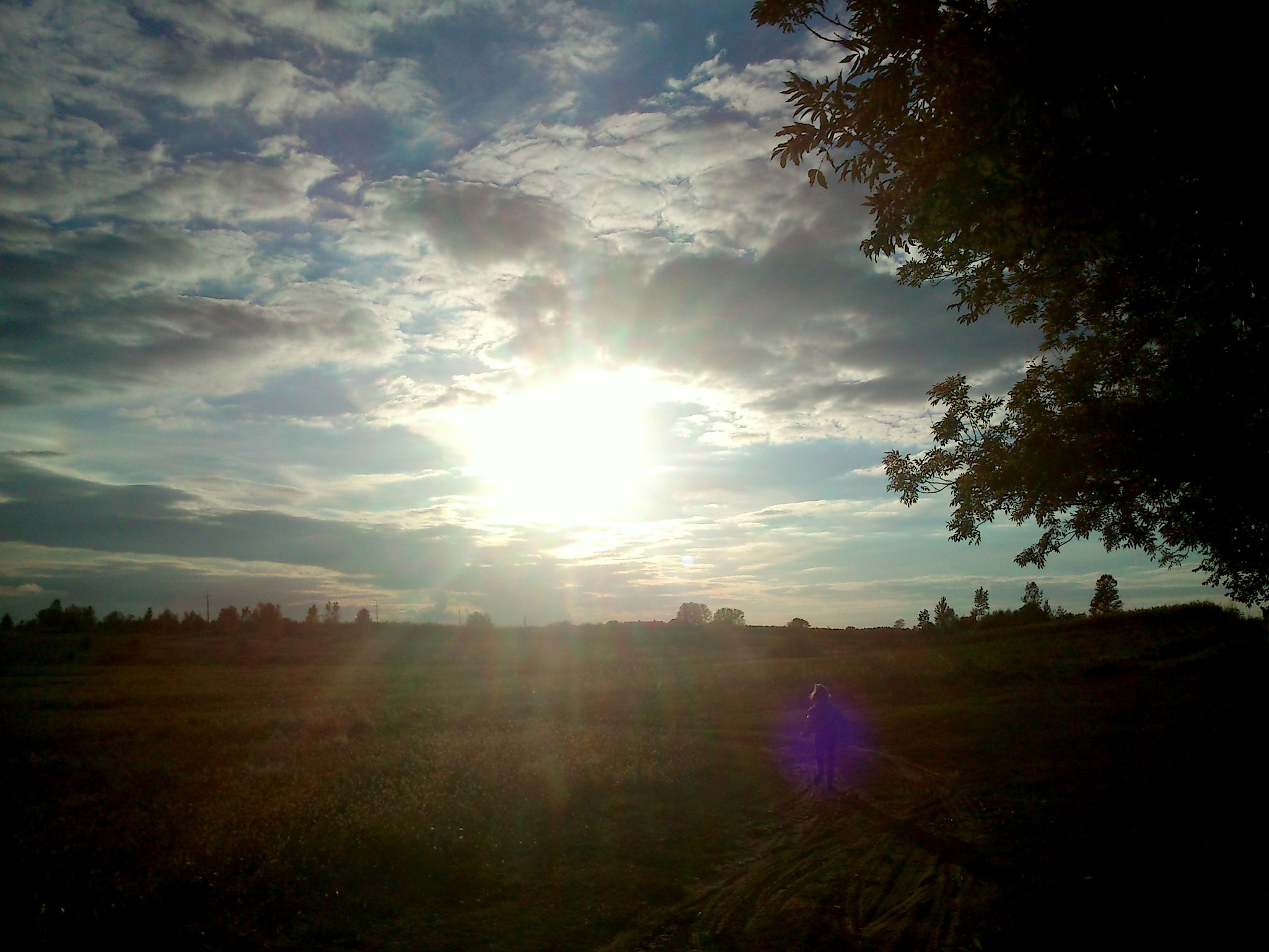Sony Ericsson Xperia neo V sample photo. Nature photography