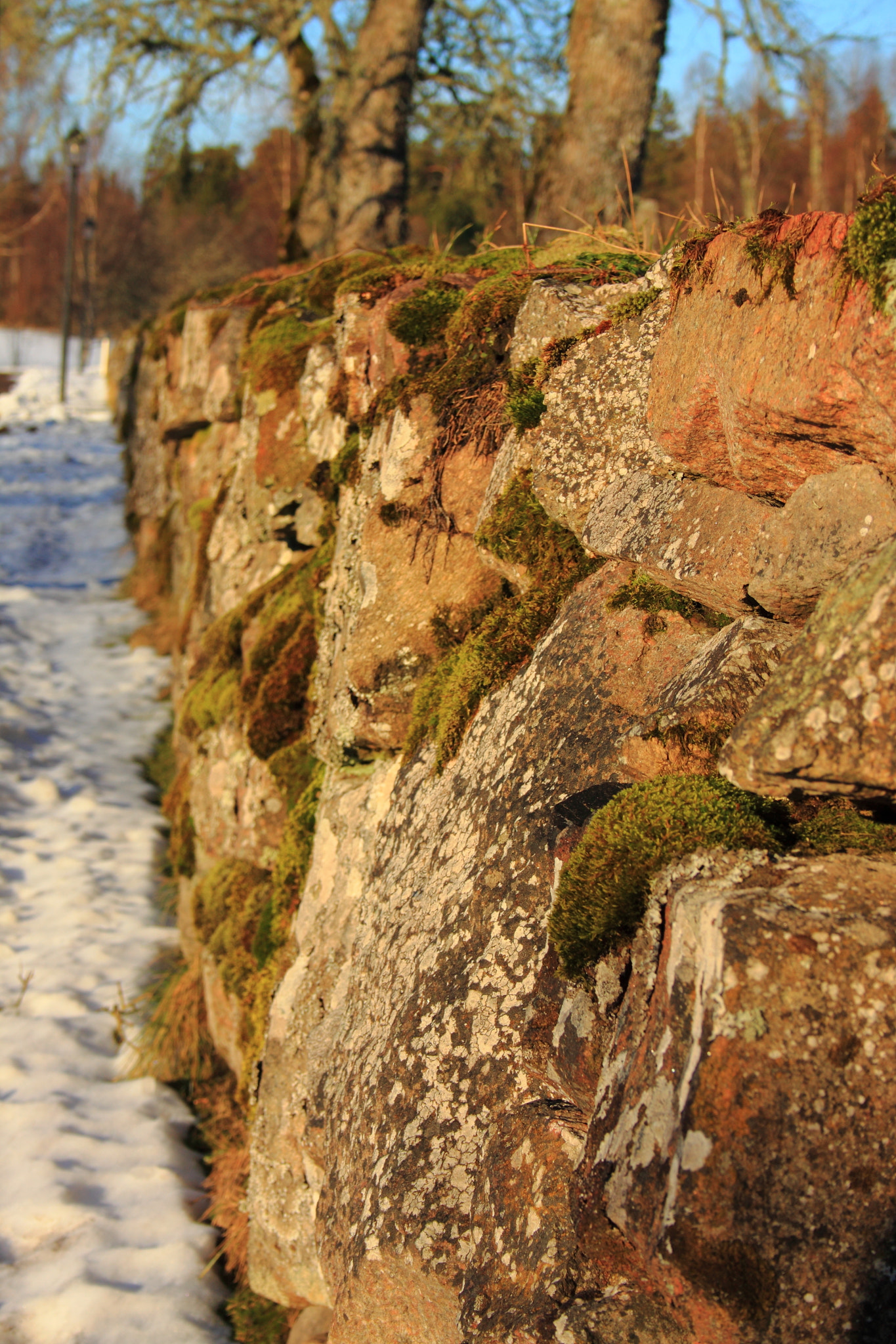 Canon EF-S 18-55mm F3.5-5.6 sample photo. Stone wall photography