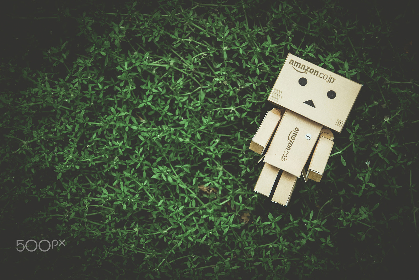 Nikon D60 sample photo. Danbo photography