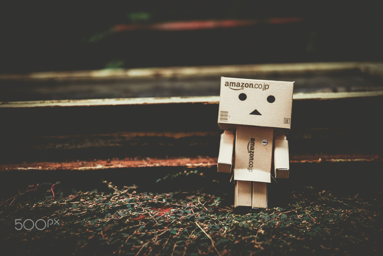 Nikon D60 sample photo. Danbo photography