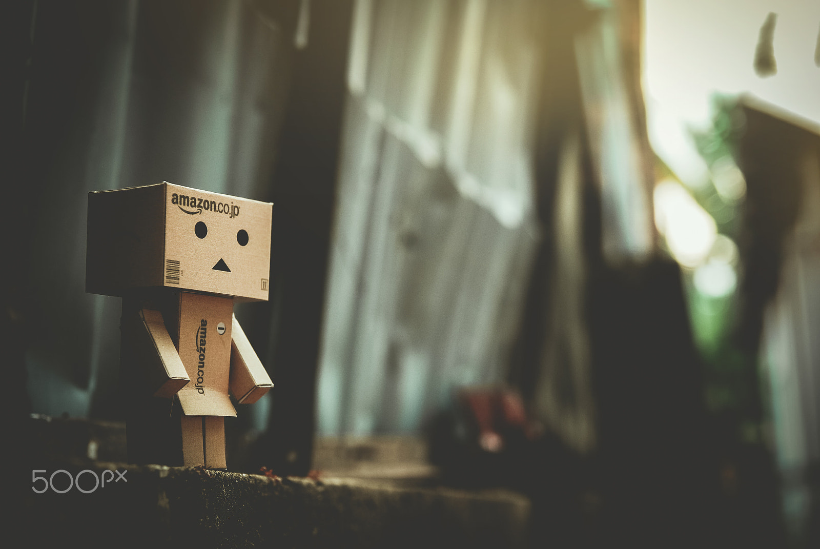 Nikon D60 sample photo. Danbo photography
