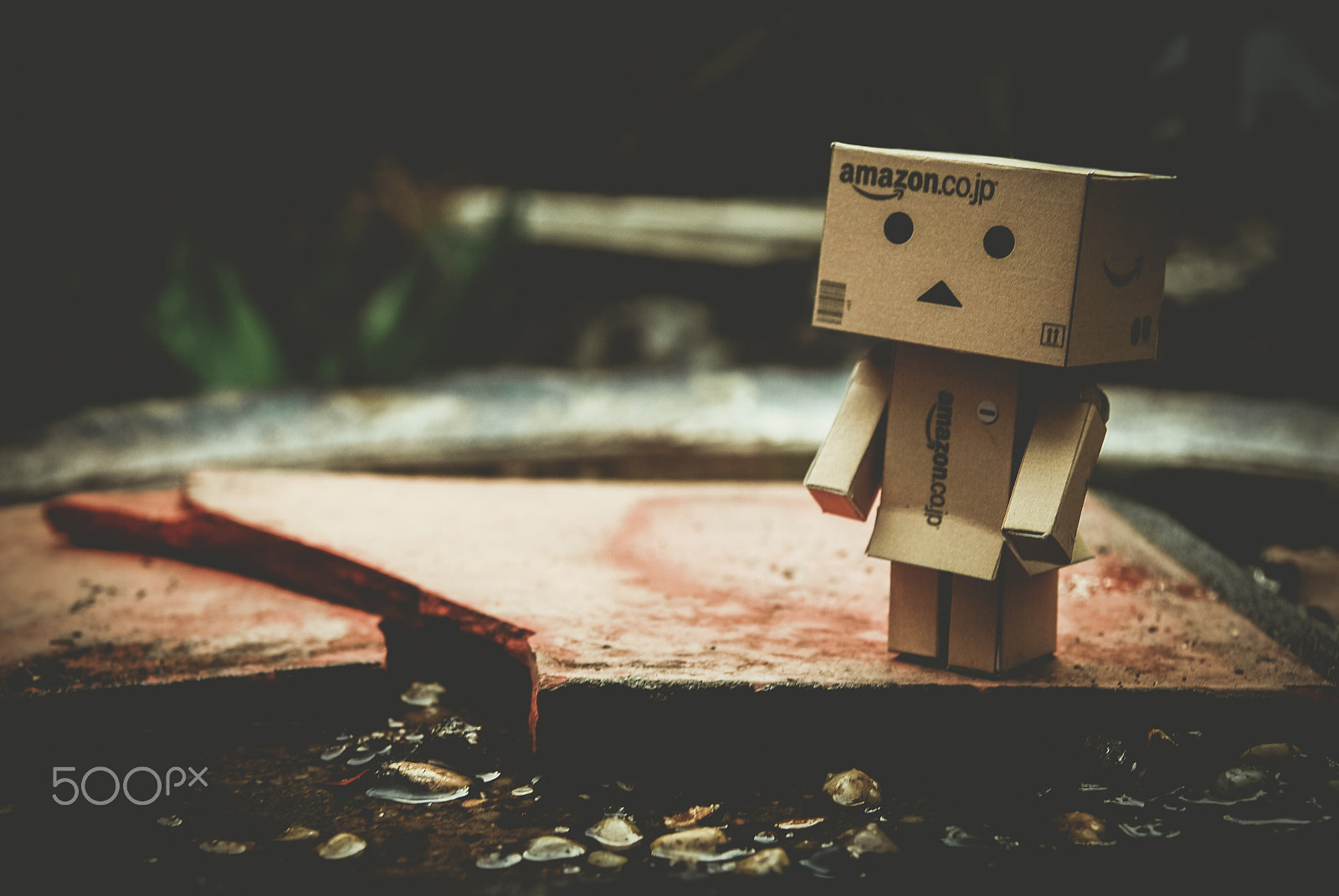 Nikon D60 sample photo. Danbo photography