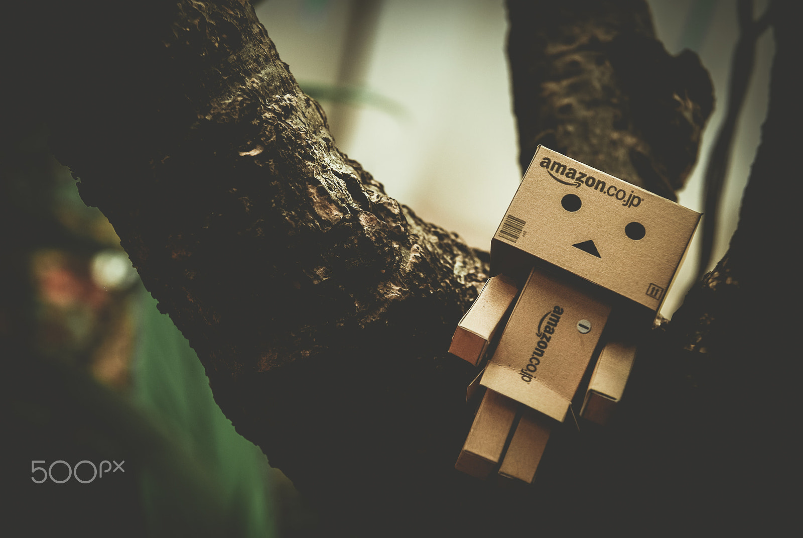 Nikon D60 sample photo. Danbo photography