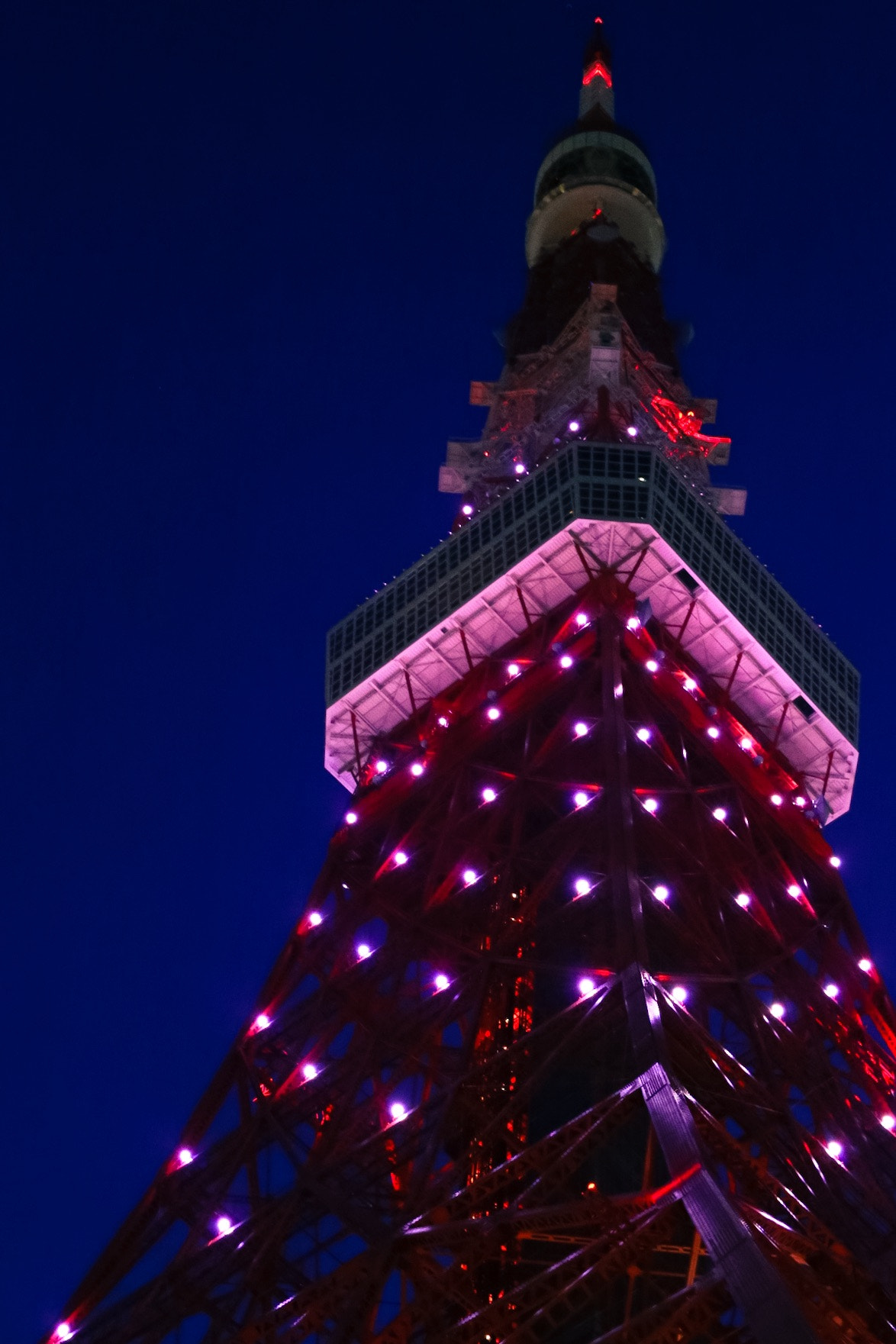 Canon 50mm sample photo. Tokyo tower. photography