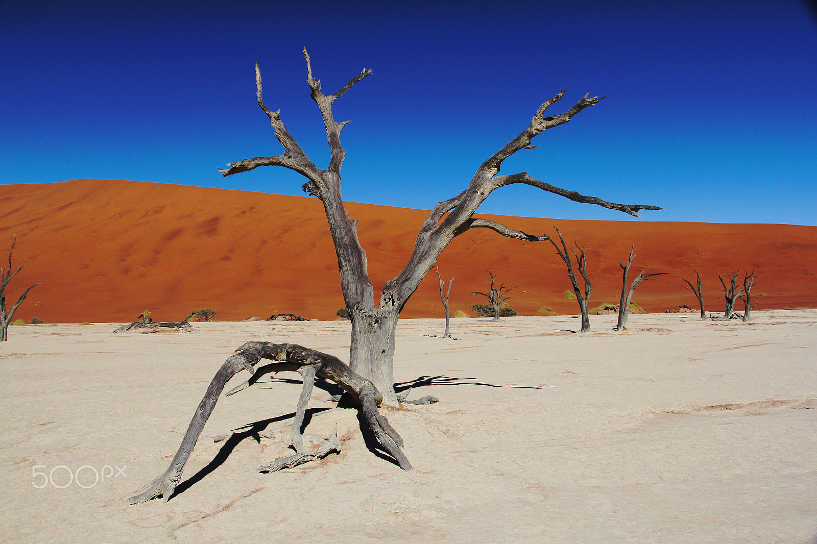Tokina AT-X 12-28mm F4 Pro DX sample photo. Dead valley photography
