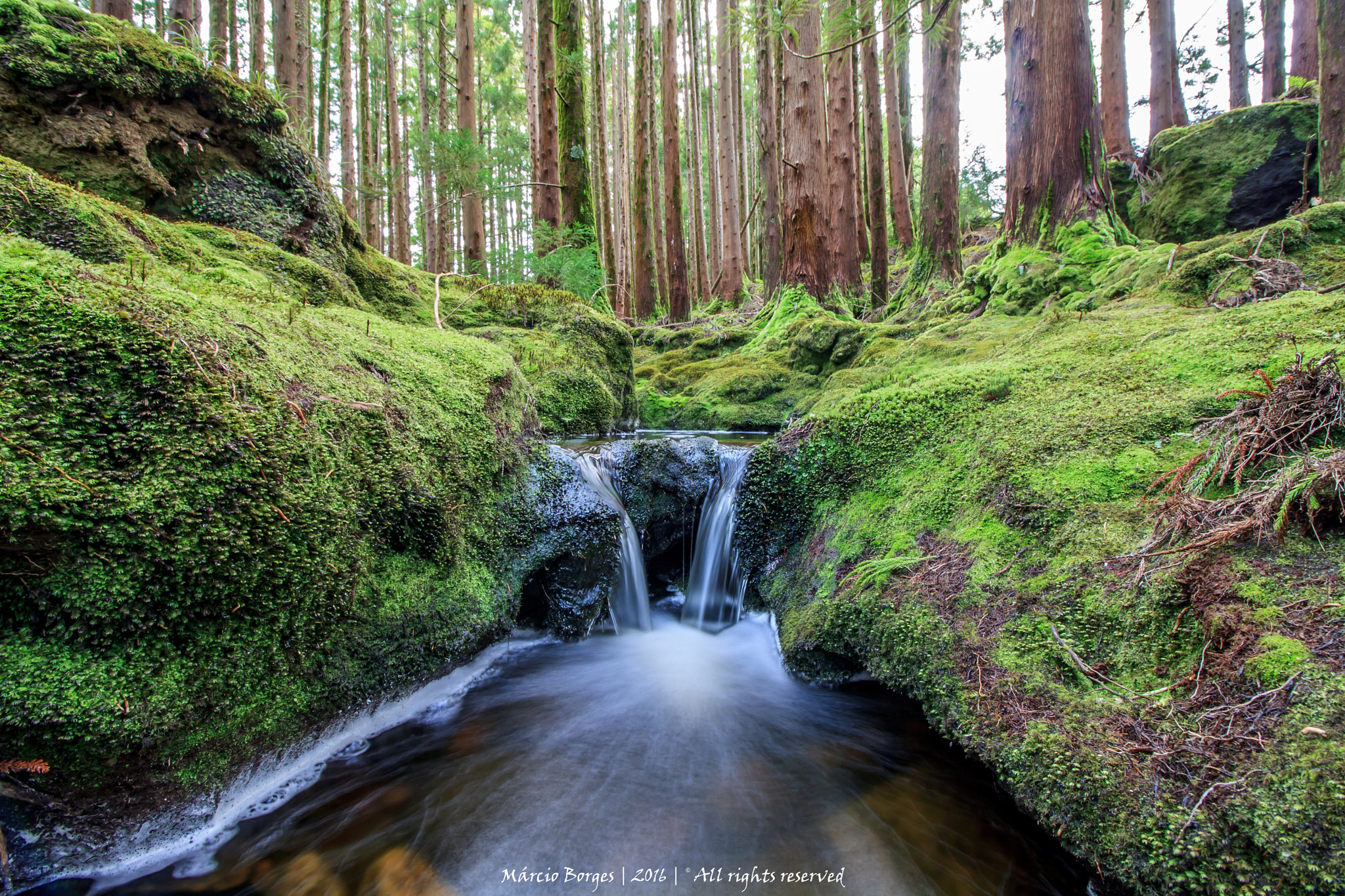 Canon EF-S 10-18mm F4.5–5.6 IS STM sample photo. Riverdream photography