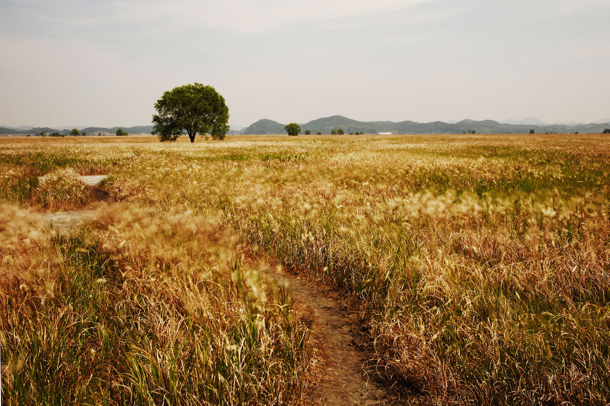 Canon EOS 60D + Canon EF 16-35mm F2.8L USM sample photo