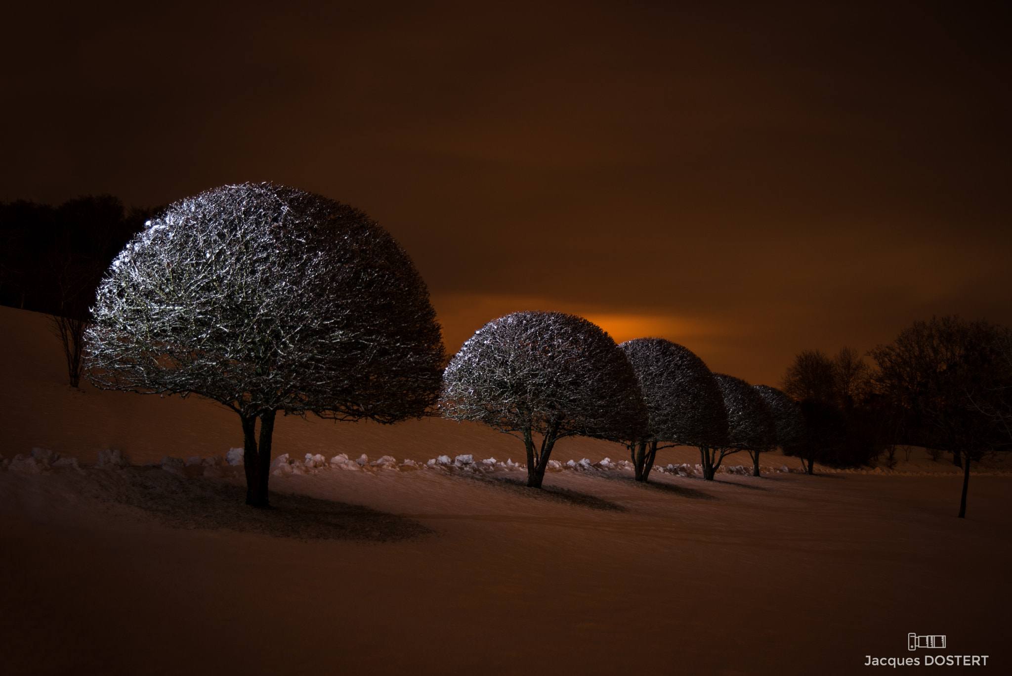 AF Zoom-Nikkor 28-70mm f/3.5-4.5D sample photo. Wintertrees photography