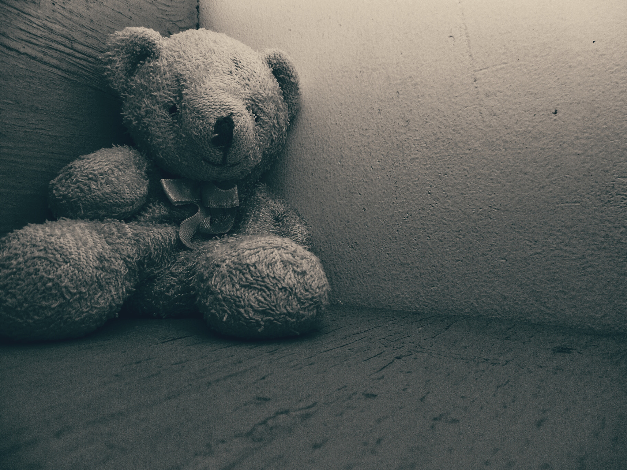 Samsung WB50F/WB51F/WB52F sample photo. The teddy photography