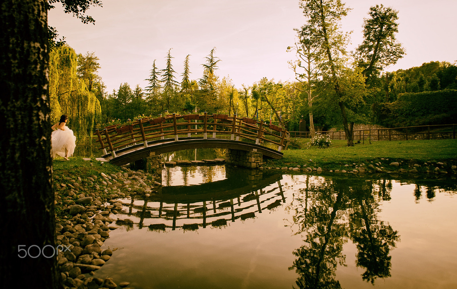 Nikon D700 + AF Nikkor 24mm f/2.8 sample photo. Green small lake photography