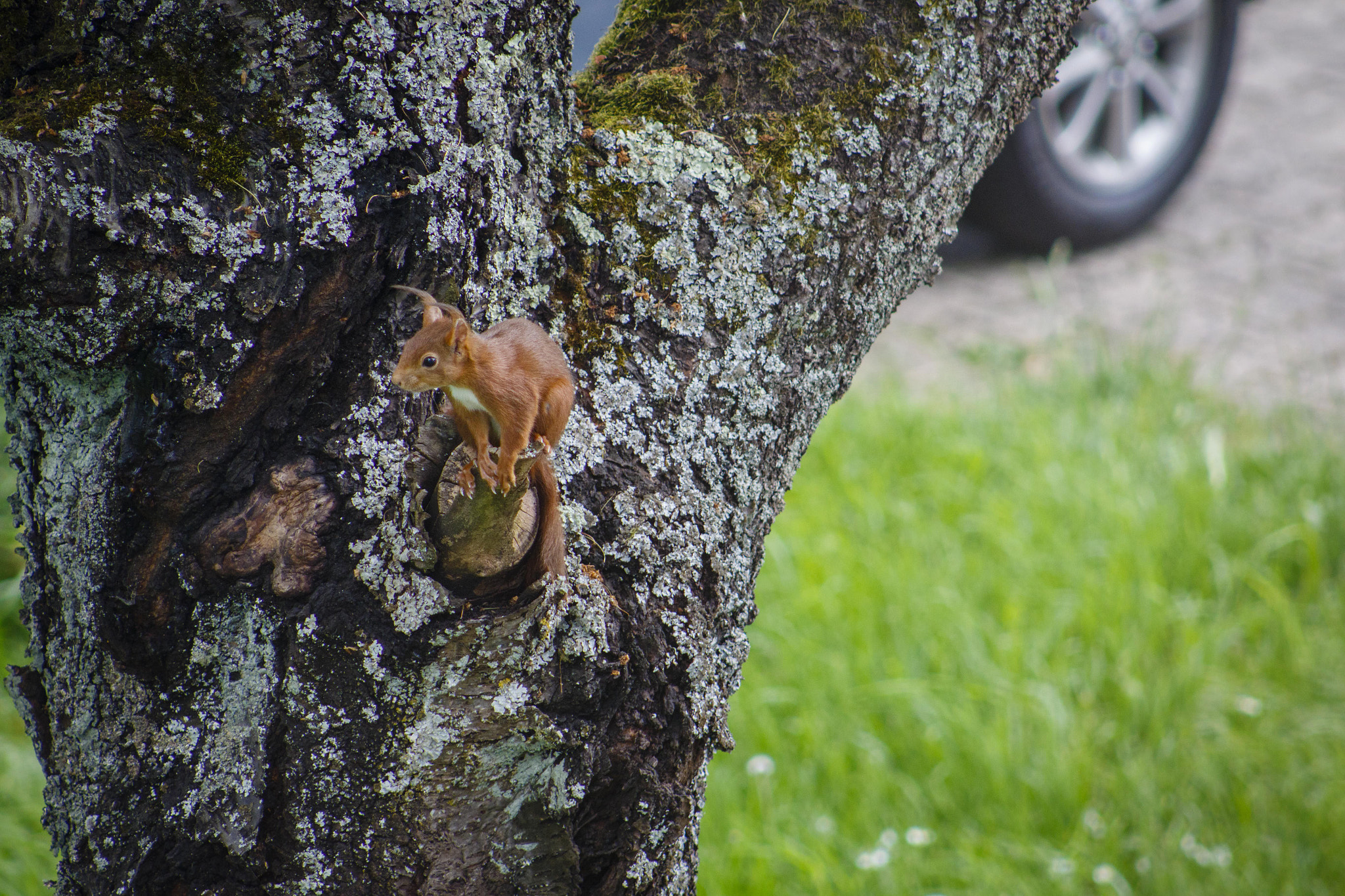 EF75-300mm f/4-5.6 sample photo. _08a1664.jpg photography