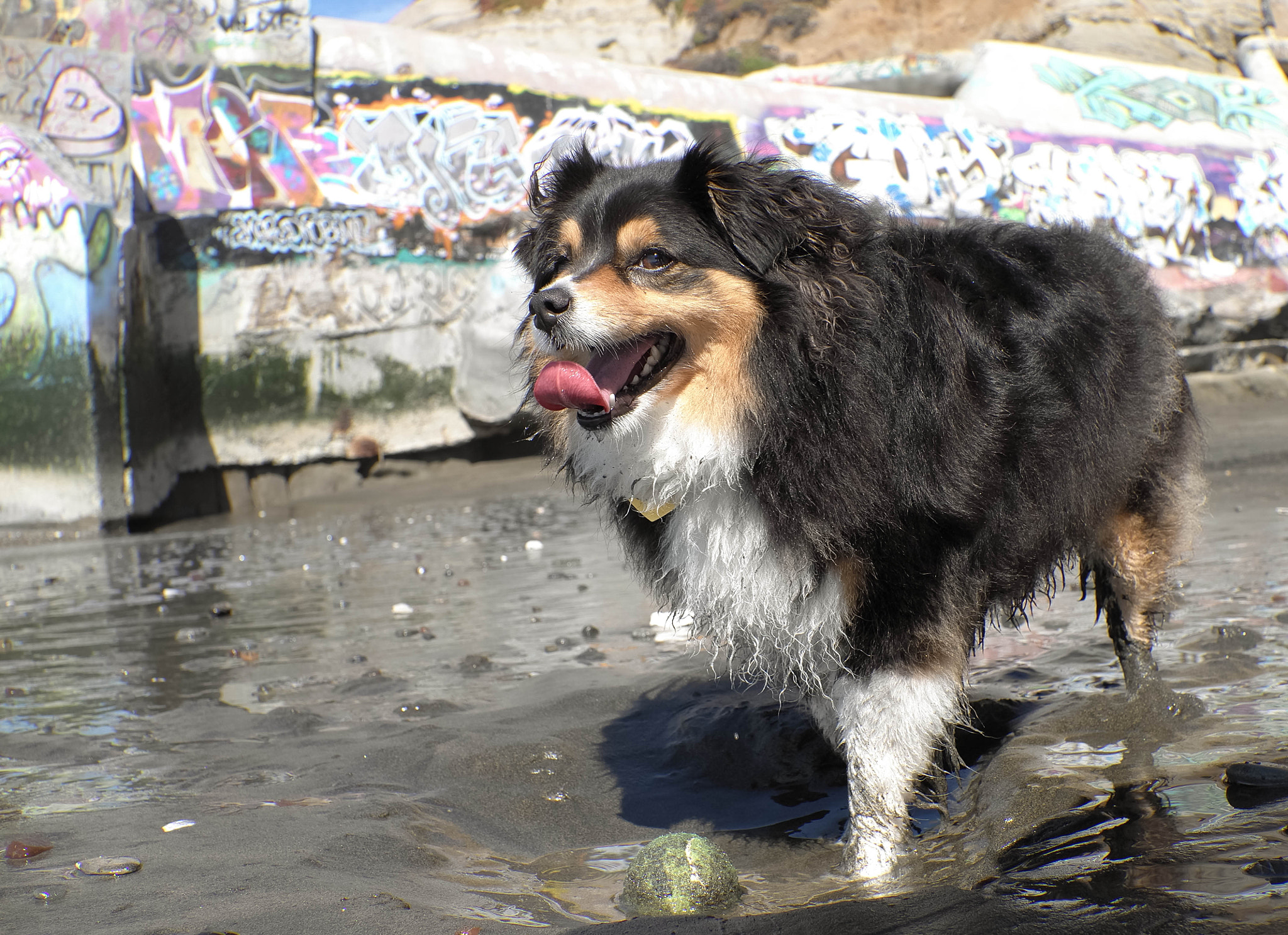 Leica X-U (Typ 113) sample photo. 001: yukii and friends photography