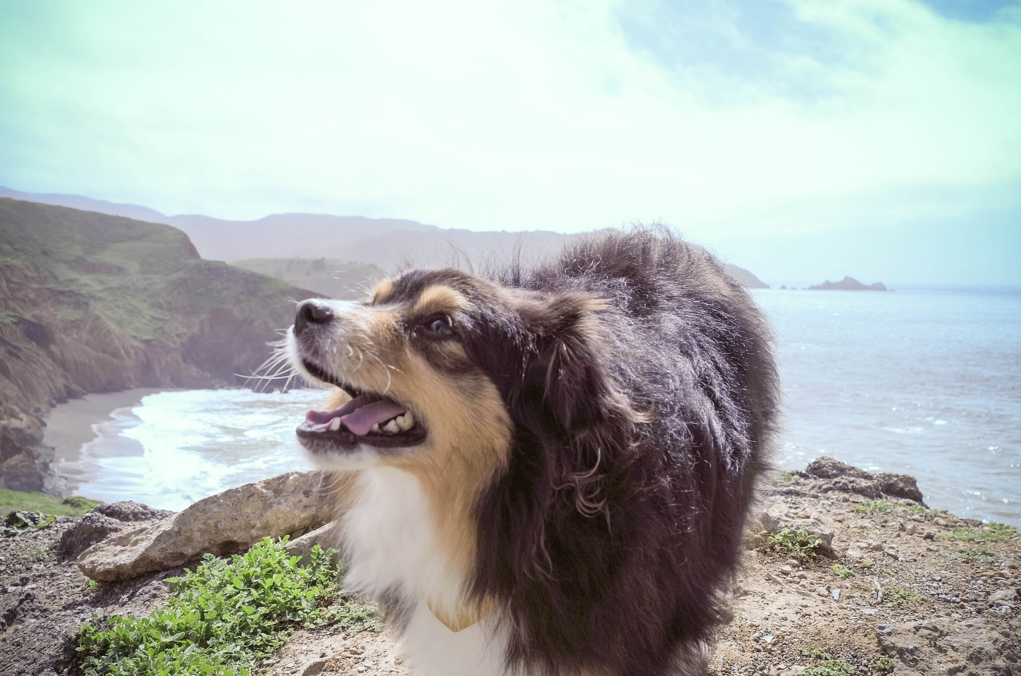 Leica X-U (Typ 113) sample photo. 001: yukii and friends photography