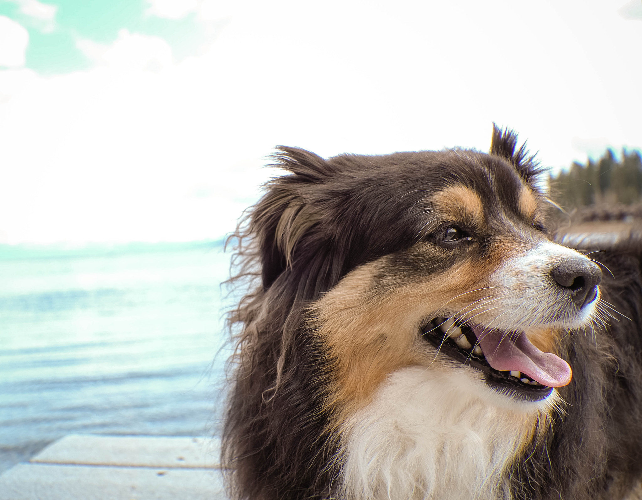 Leica X-U (Typ 113) sample photo. 001: yukii and friends photography