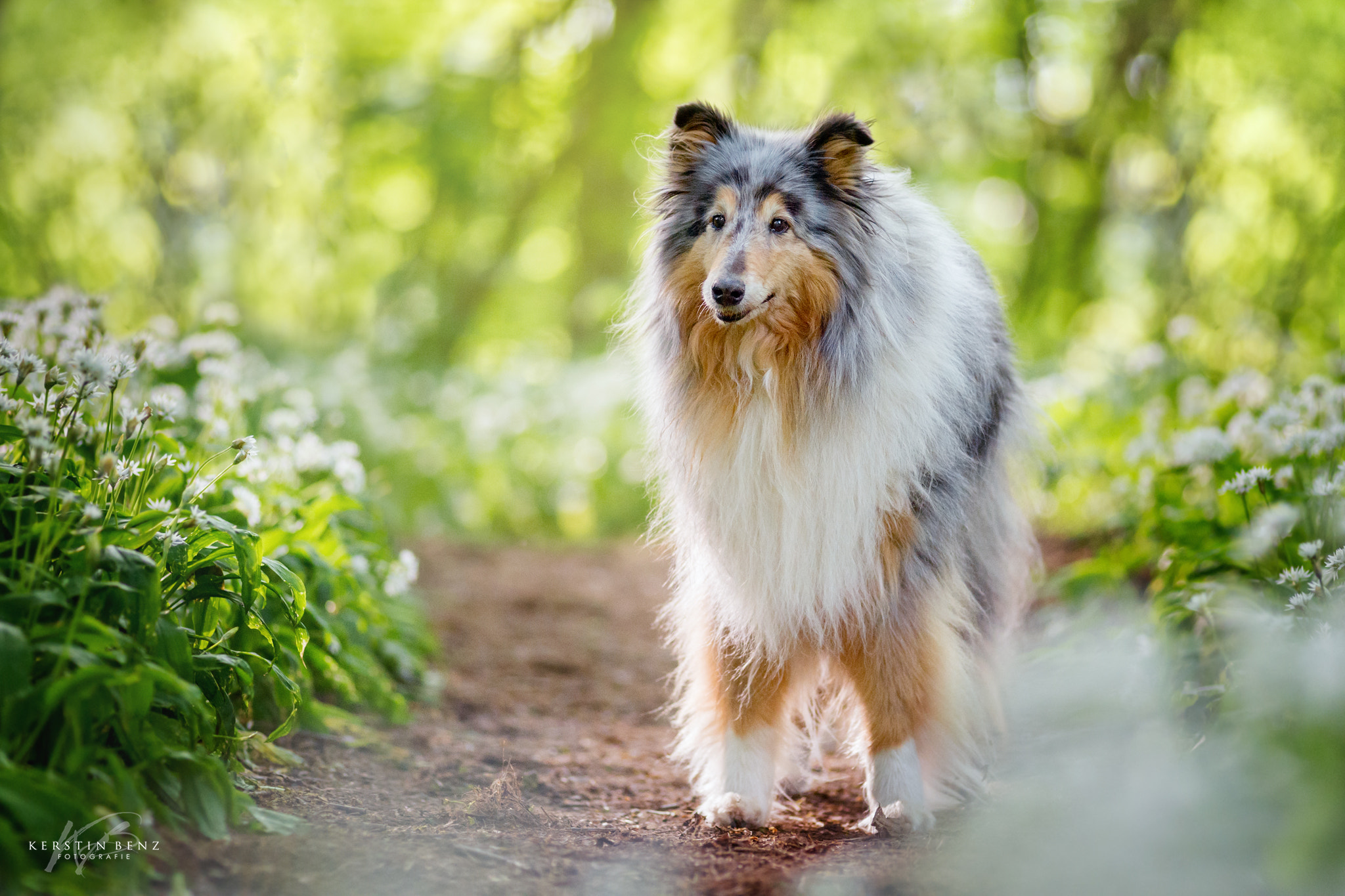 Nikon D4 + AF Nikkor 180mm f/2.8 IF-ED sample photo. 13 year old josie <3 photography