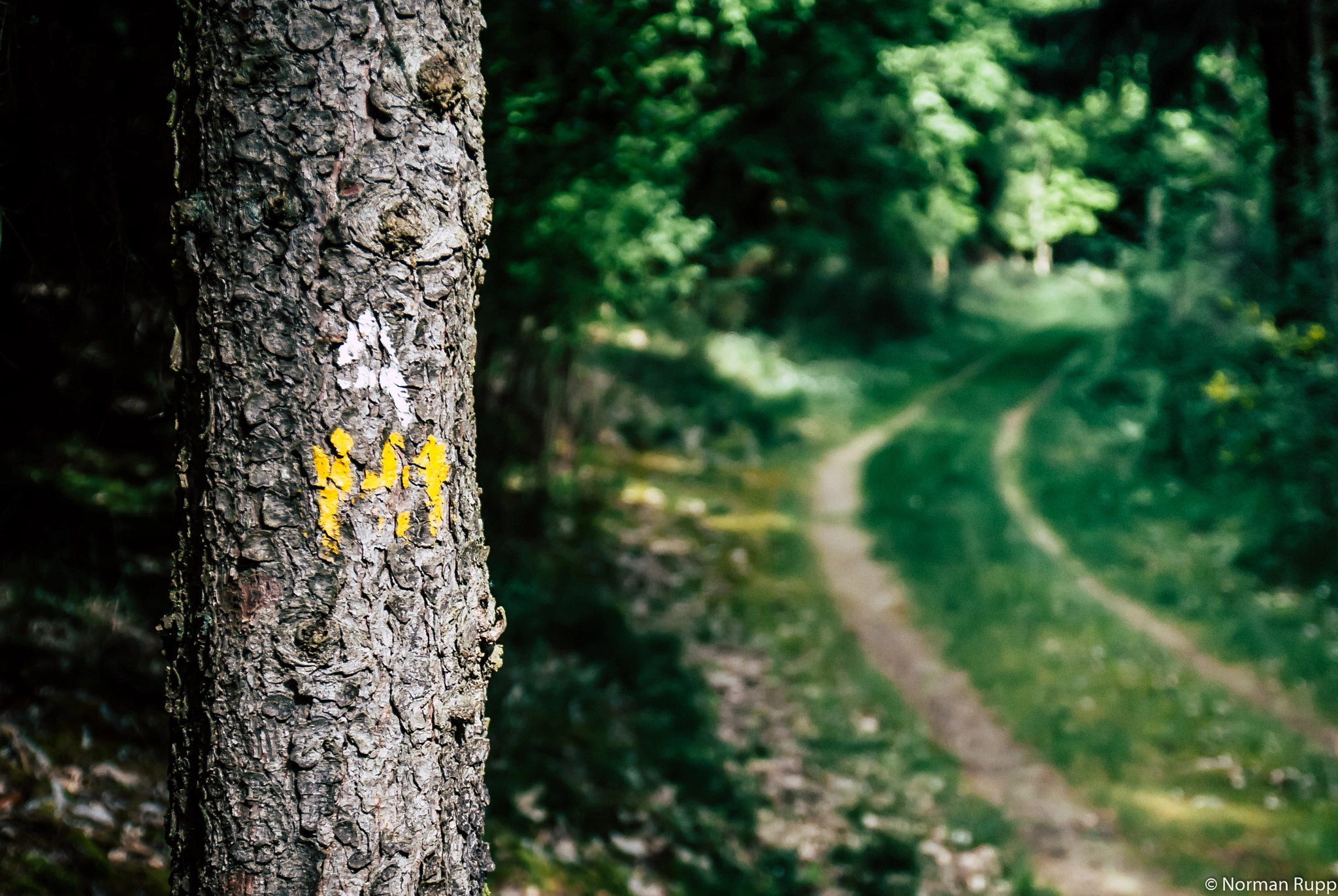 Nikon D80 sample photo. Route marking photography