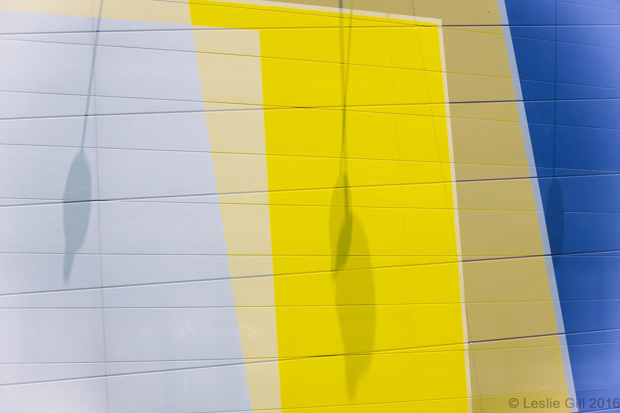 Nikon 1 Nikkor VR 30-110mm F3.8-5.6 sample photo. Shadows & colours photography