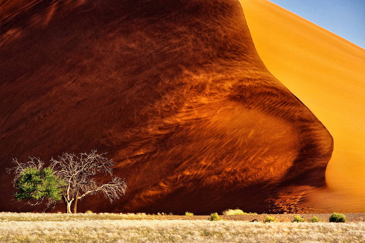 Canon EF 70-200mm F2.8L IS USM sample photo. Namibia photography