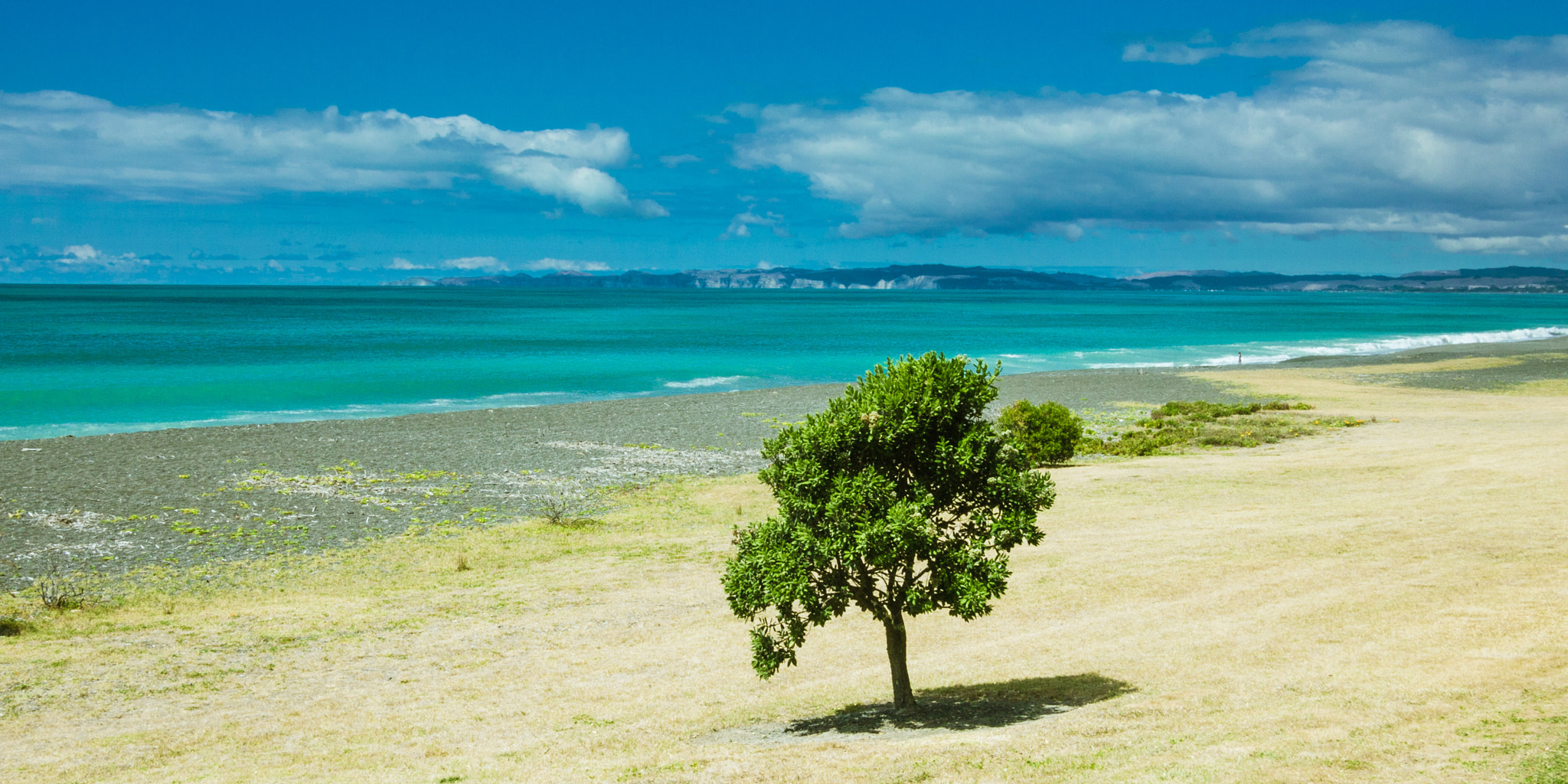Olympus PEN E-P3 + Panasonic Lumix G 20mm F1.7 ASPH sample photo. My son's nz homework photography