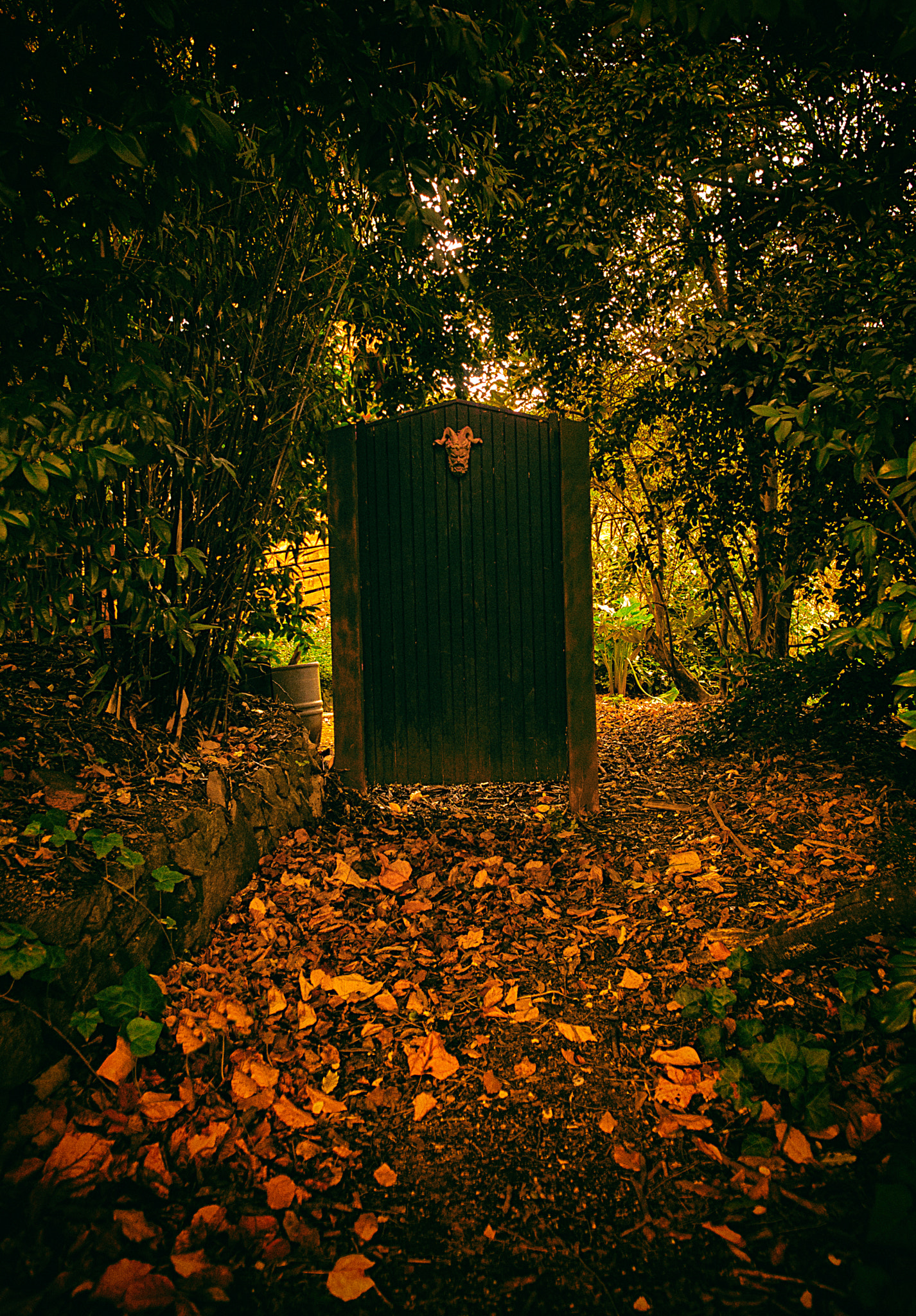 ZEISS Touit 12mm F2.8 sample photo. Gate photography