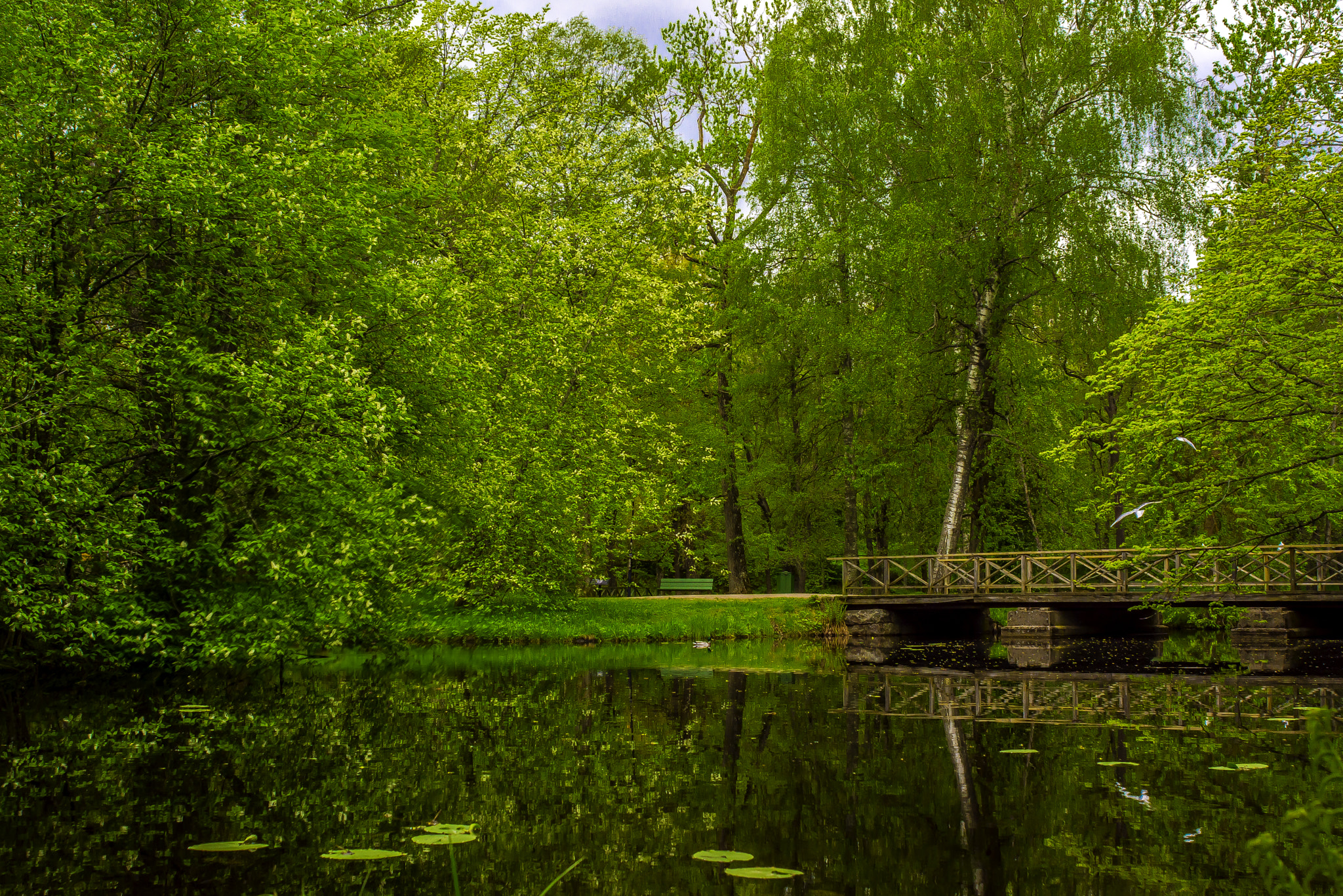 AF Zoom-Nikkor 28-85mm f/3.5-4.5 sample photo. Boulognerskogen hdr photography
