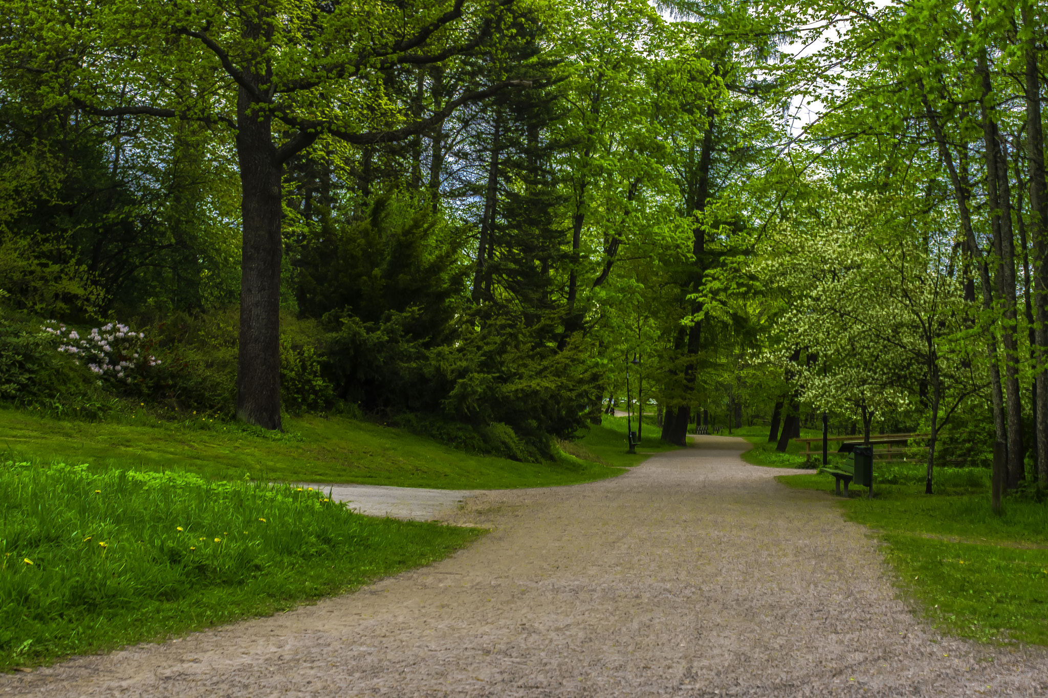 AF Zoom-Nikkor 28-85mm f/3.5-4.5 sample photo. Boulognerskogen hdr photography