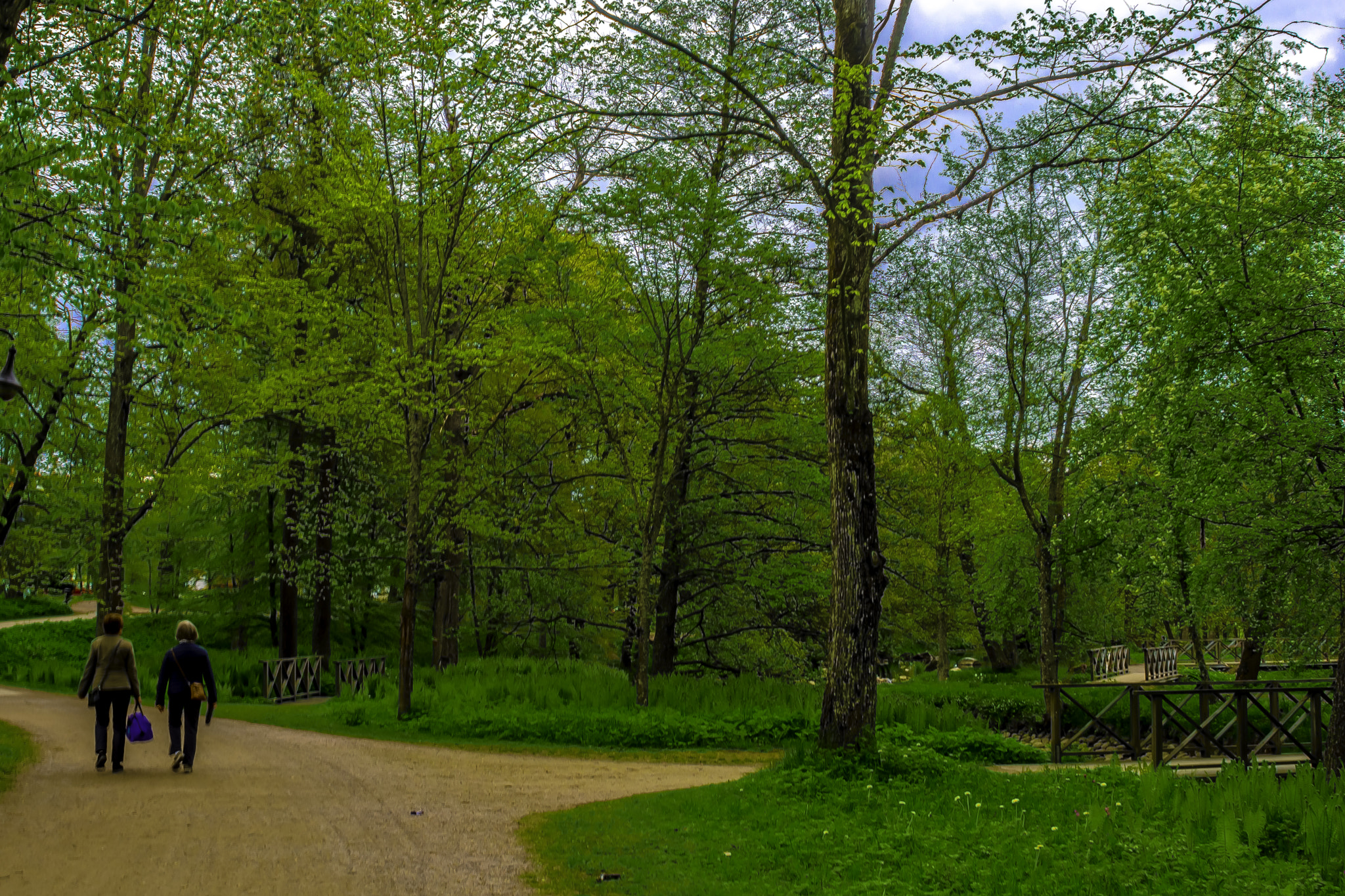 AF Zoom-Nikkor 28-85mm f/3.5-4.5 sample photo. Boulognerskogen hdr photography