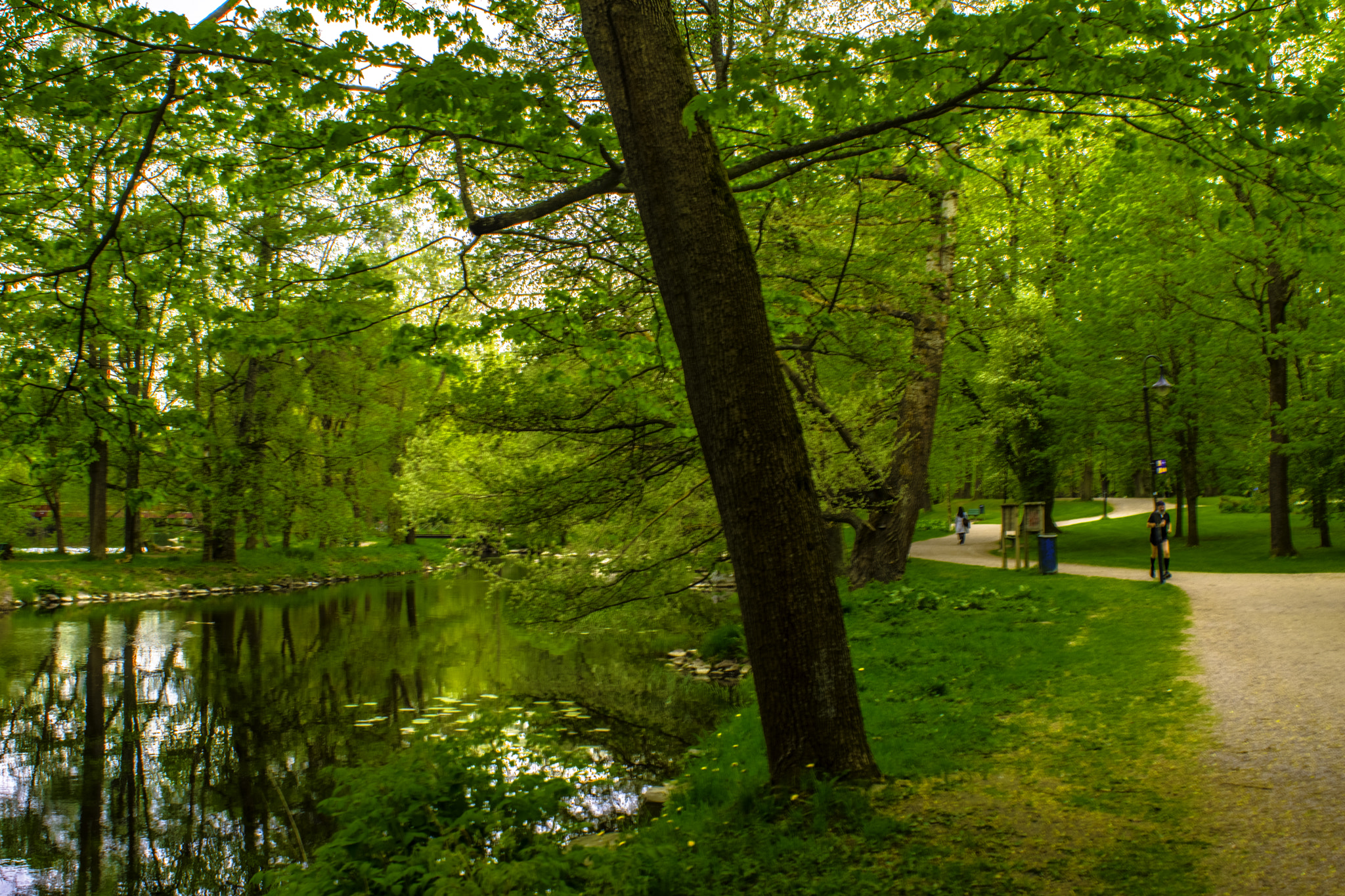 AF Zoom-Nikkor 28-85mm f/3.5-4.5 sample photo. Boulognerskogen hdr photography