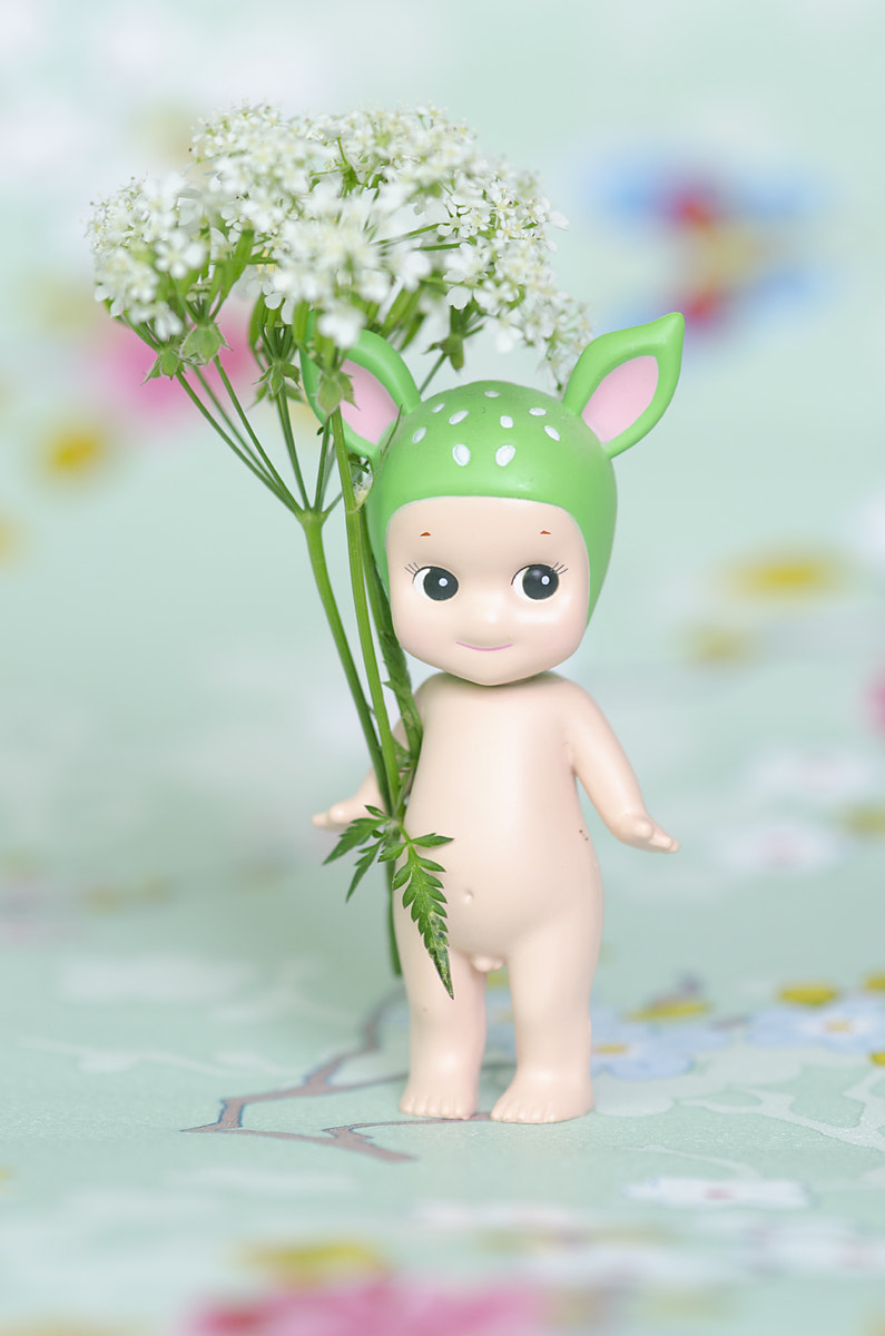 Nikon D7000 + Sigma 105mm F2.8 EX DG Macro sample photo. Little flower angel photography