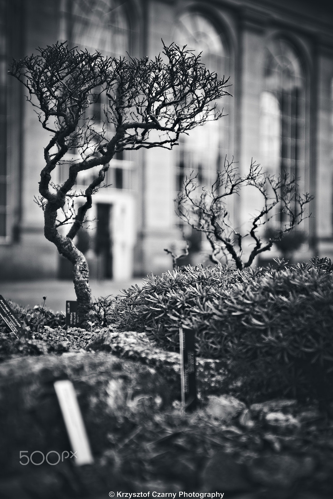AF Zoom-Nikkor 28-85mm f/3.5-4.5 sample photo. I'm not small anymore! photography