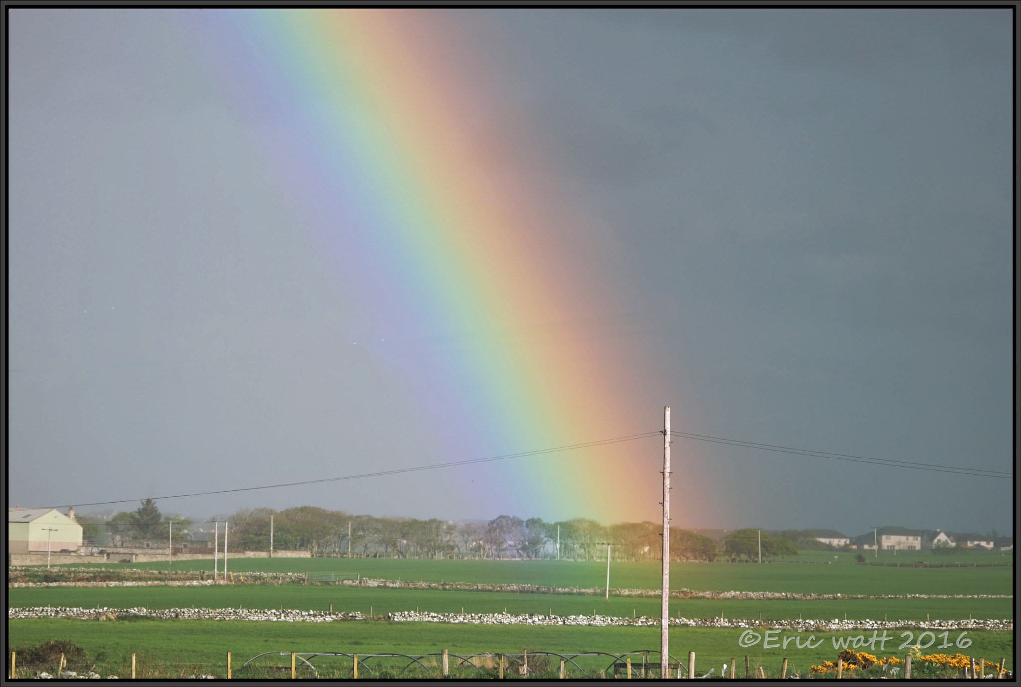 Sigma 150-500mm F5-6.3 DG OS HSM sample photo. 21-05-2016 22 054.jpg photography