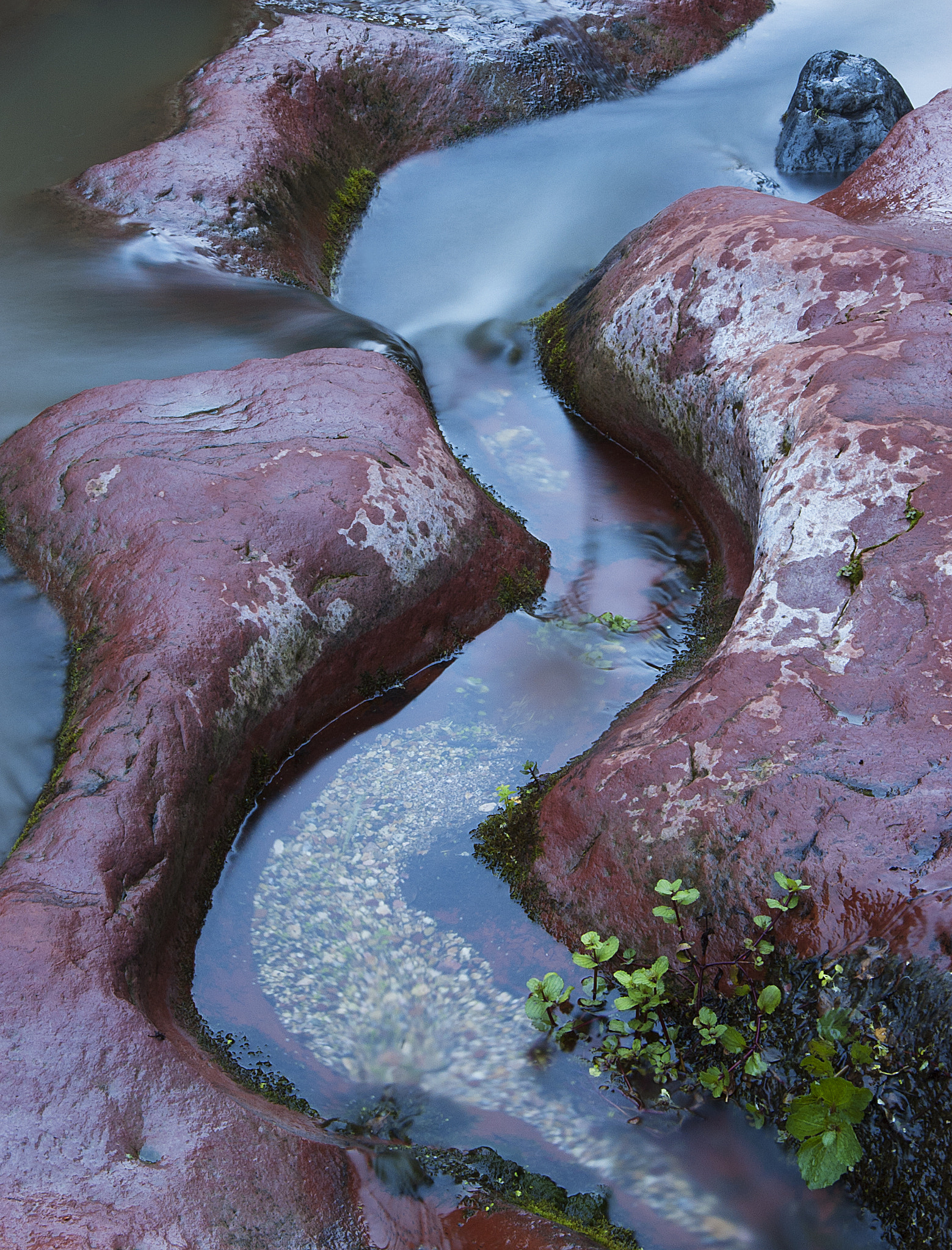 Nikon D70s sample photo. Oak creek, arizona photography