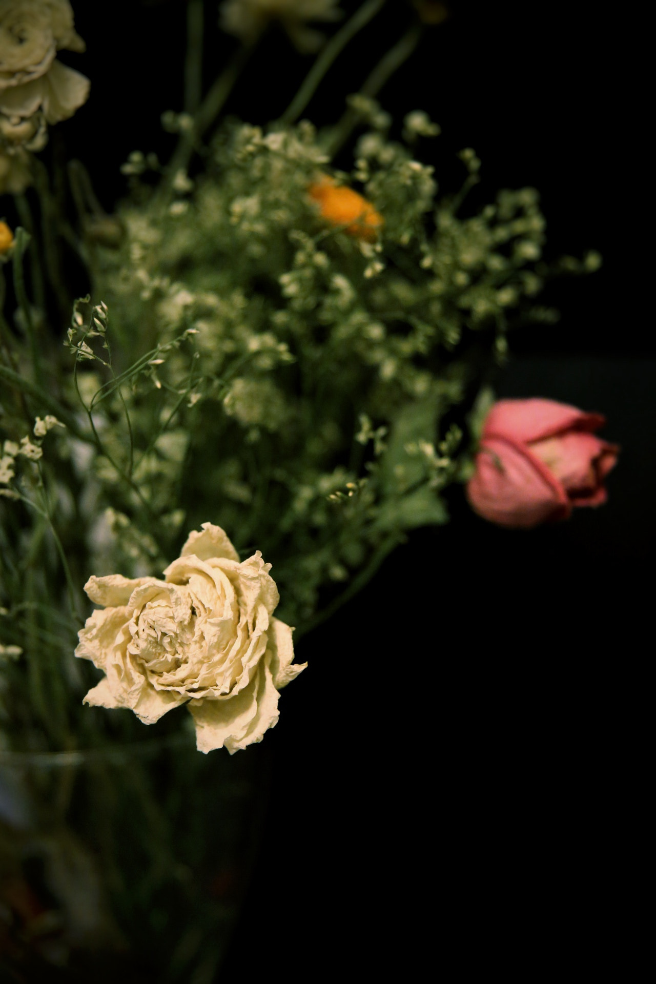 Canon EOS 6D + Canon 24-70mm sample photo