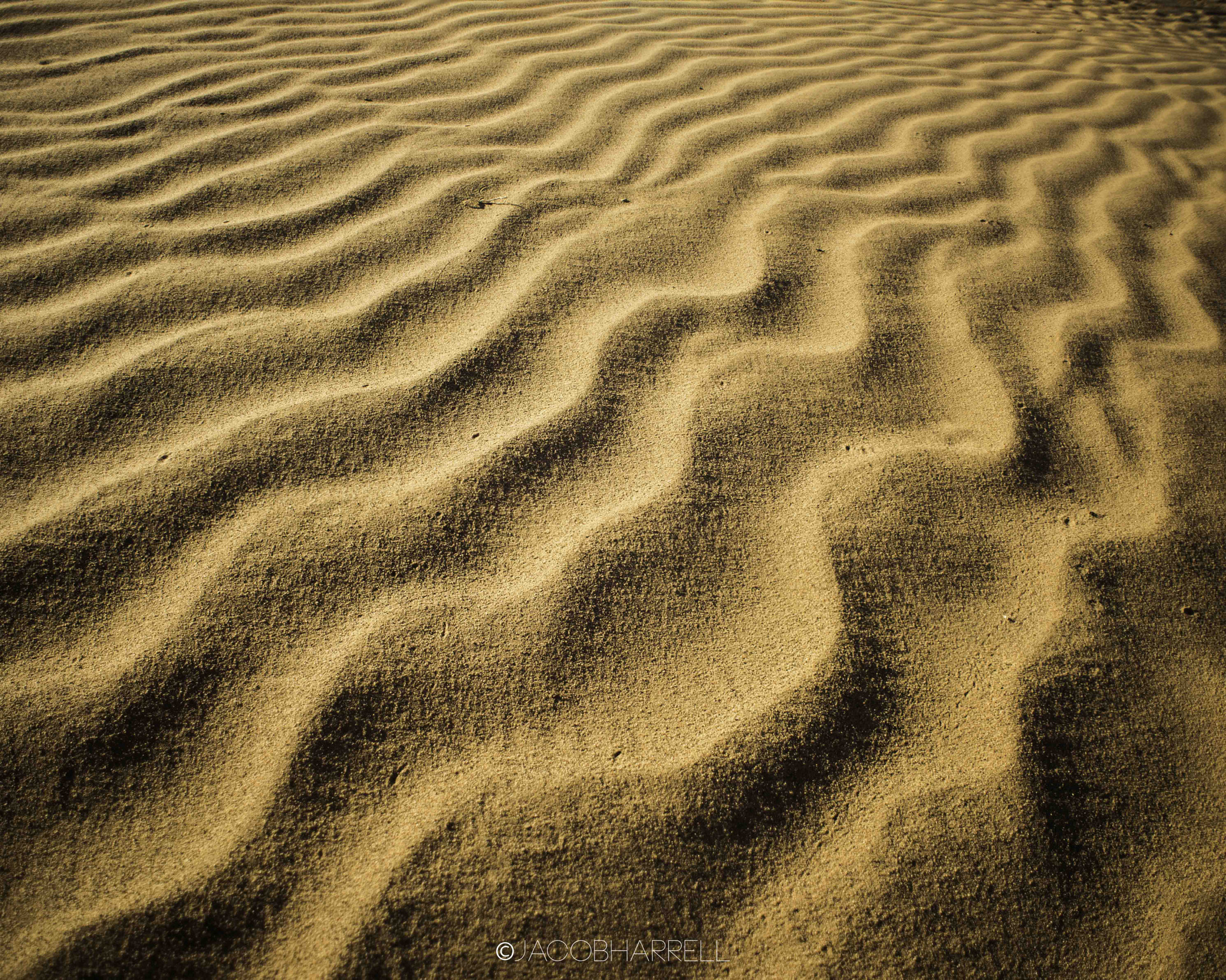 Nikon D810 + Nikon AF Nikkor 20mm F2.8D sample photo. Sand, shape & form. the gobi desert. photography