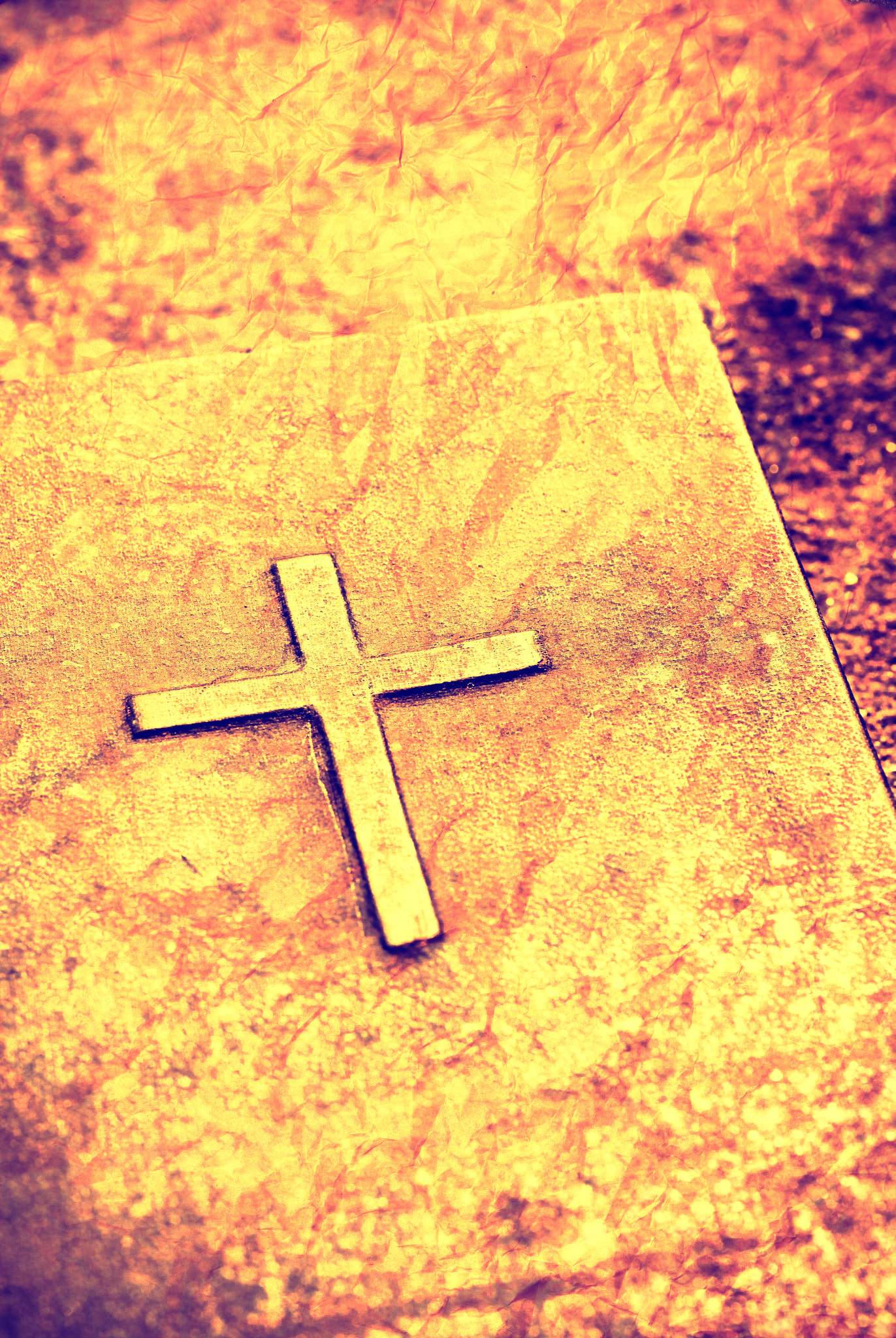 Canon EOS 5D Mark II + Tamron SP AF 90mm F2.8 Di Macro sample photo. Holy bible photography