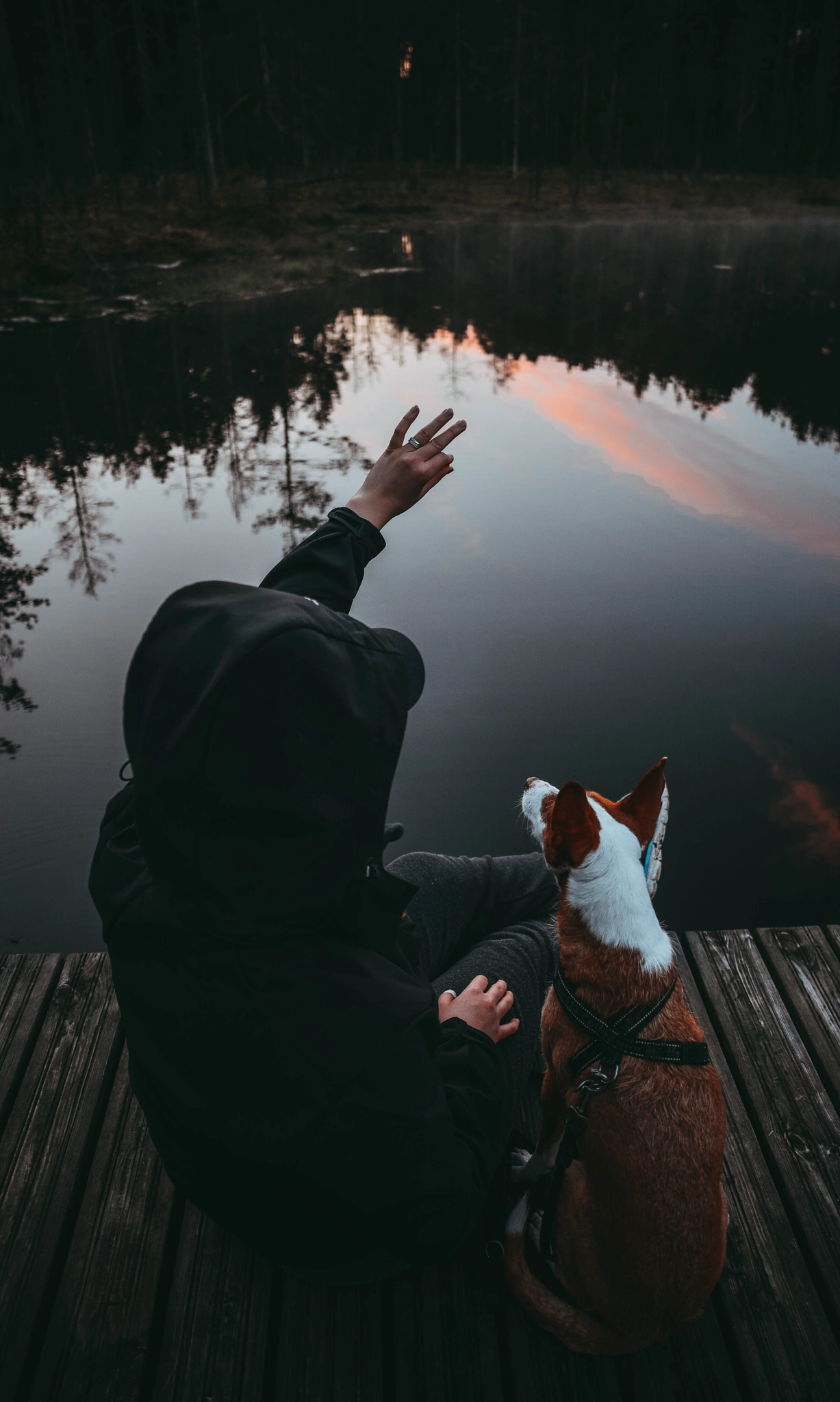 Nikon D5200 + Samyang 16mm F2 ED AS UMC CS sample photo. Girl with the dog photography