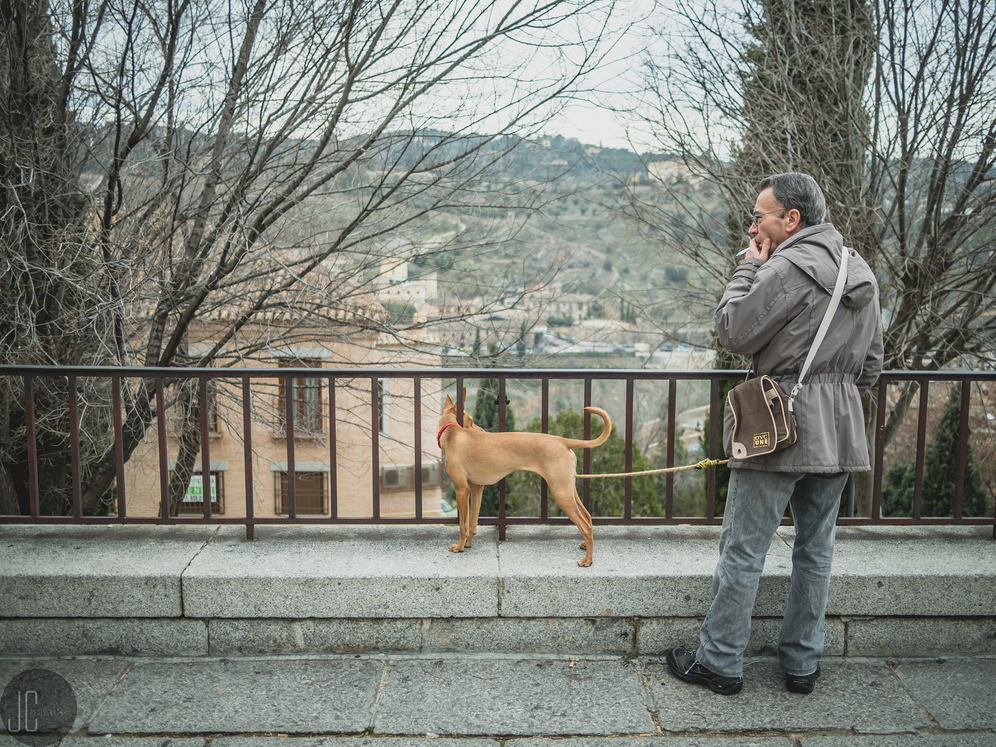 Olympus OM-D E-M5 II + Panasonic Lumix G 20mm F1.7 ASPH sample photo. Man and his dog photography