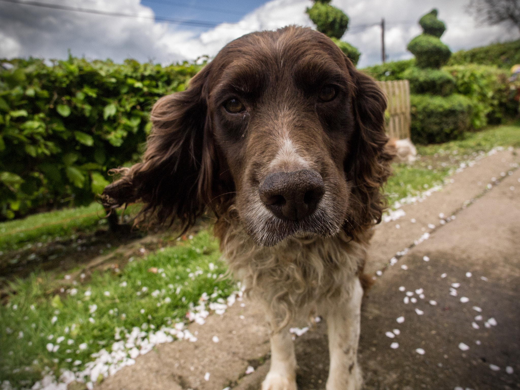 Panasonic Lumix DMC-G2 + OLYMPUS M.12mm F2.0 sample photo. Barney wind photography