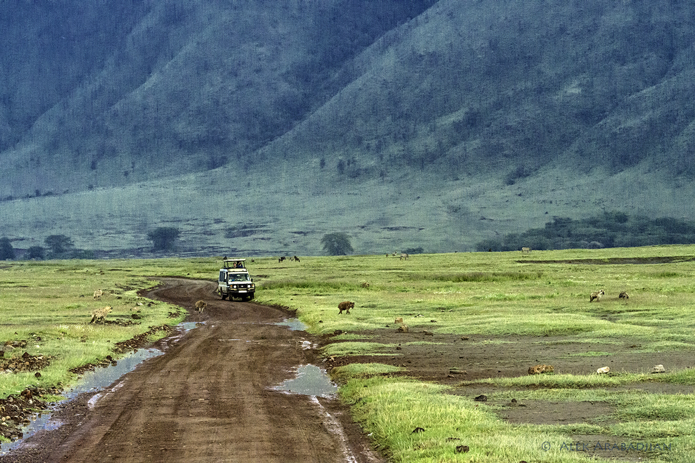 Nikon D4S sample photo. Exploring ngorongoro crater photography