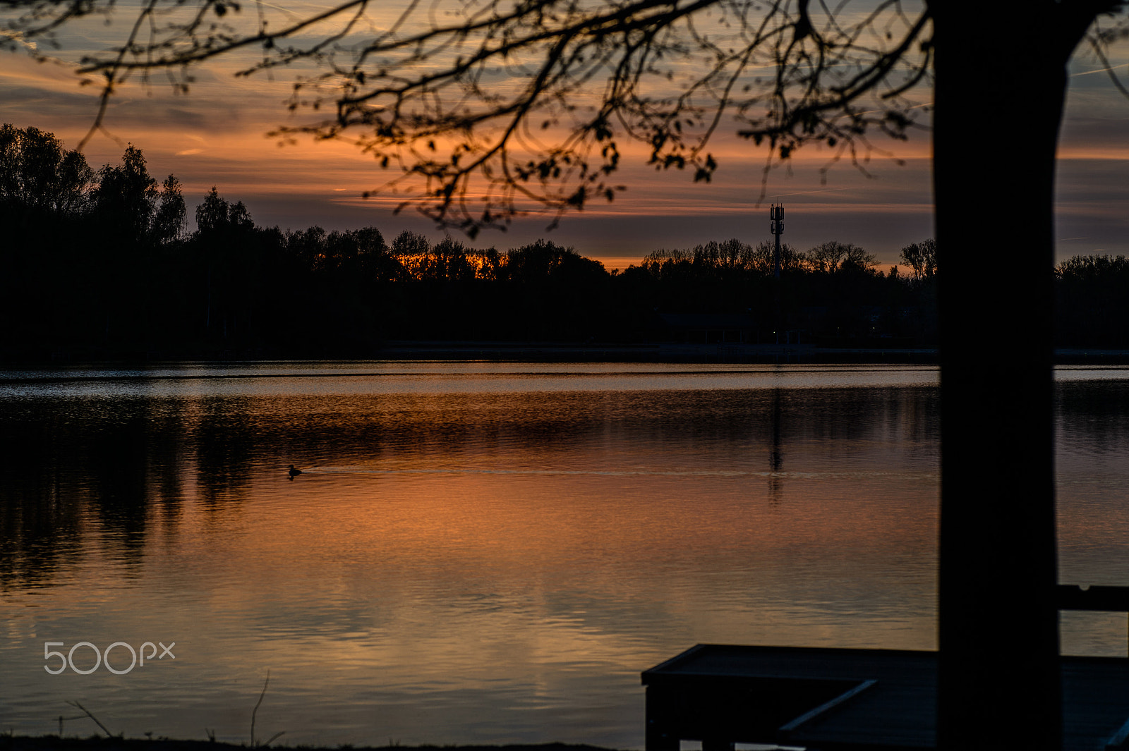 Nikon Df + Tamron SP 90mm F2.8 Di VC USD 1:1 Macro sample photo. Rotselaar lake at sunset photography
