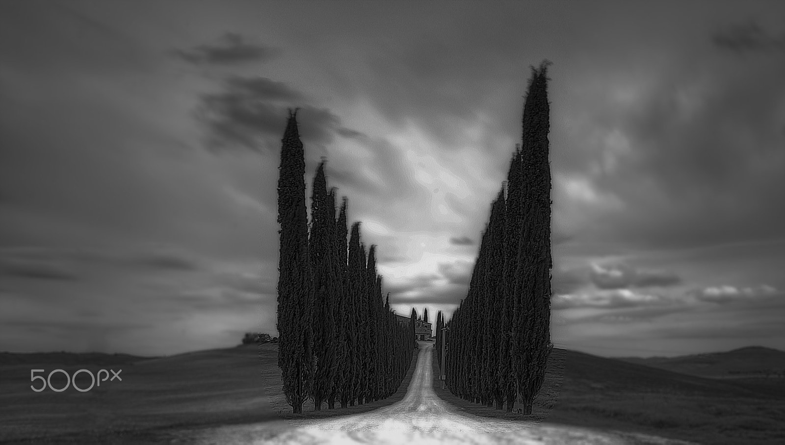 Nikon D3X sample photo. Black road photography
