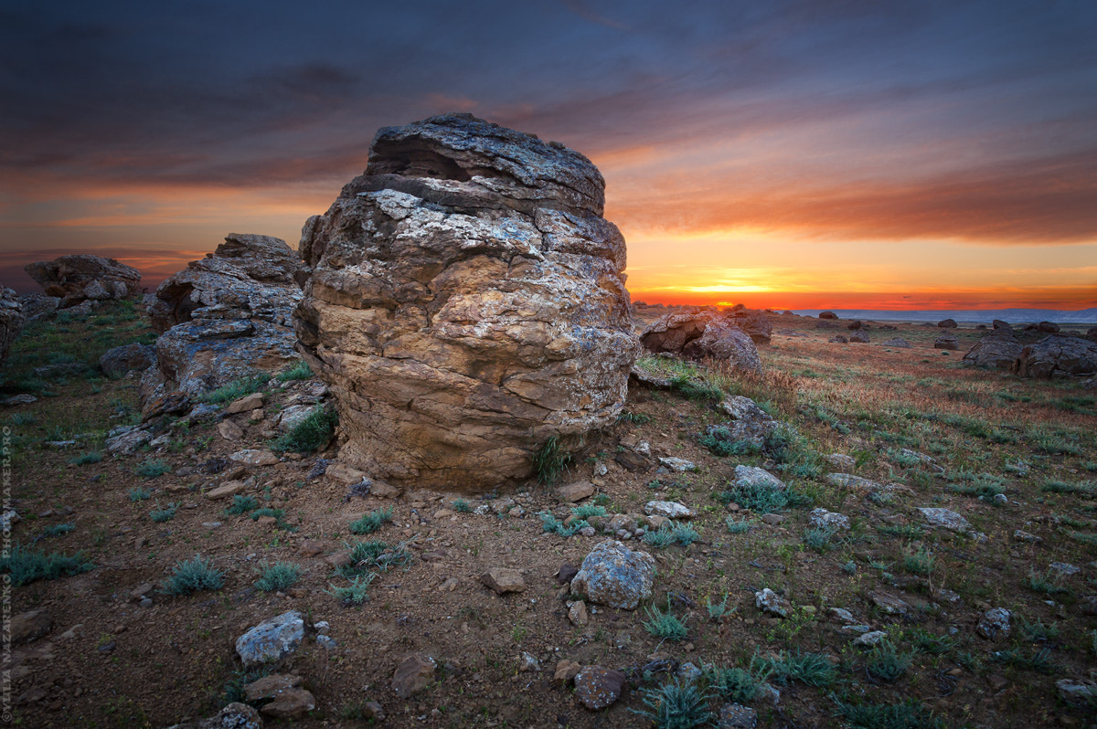 Canon EOS-1Ds Mark III sample photo. Valley of ball concretions. mangistau. photography